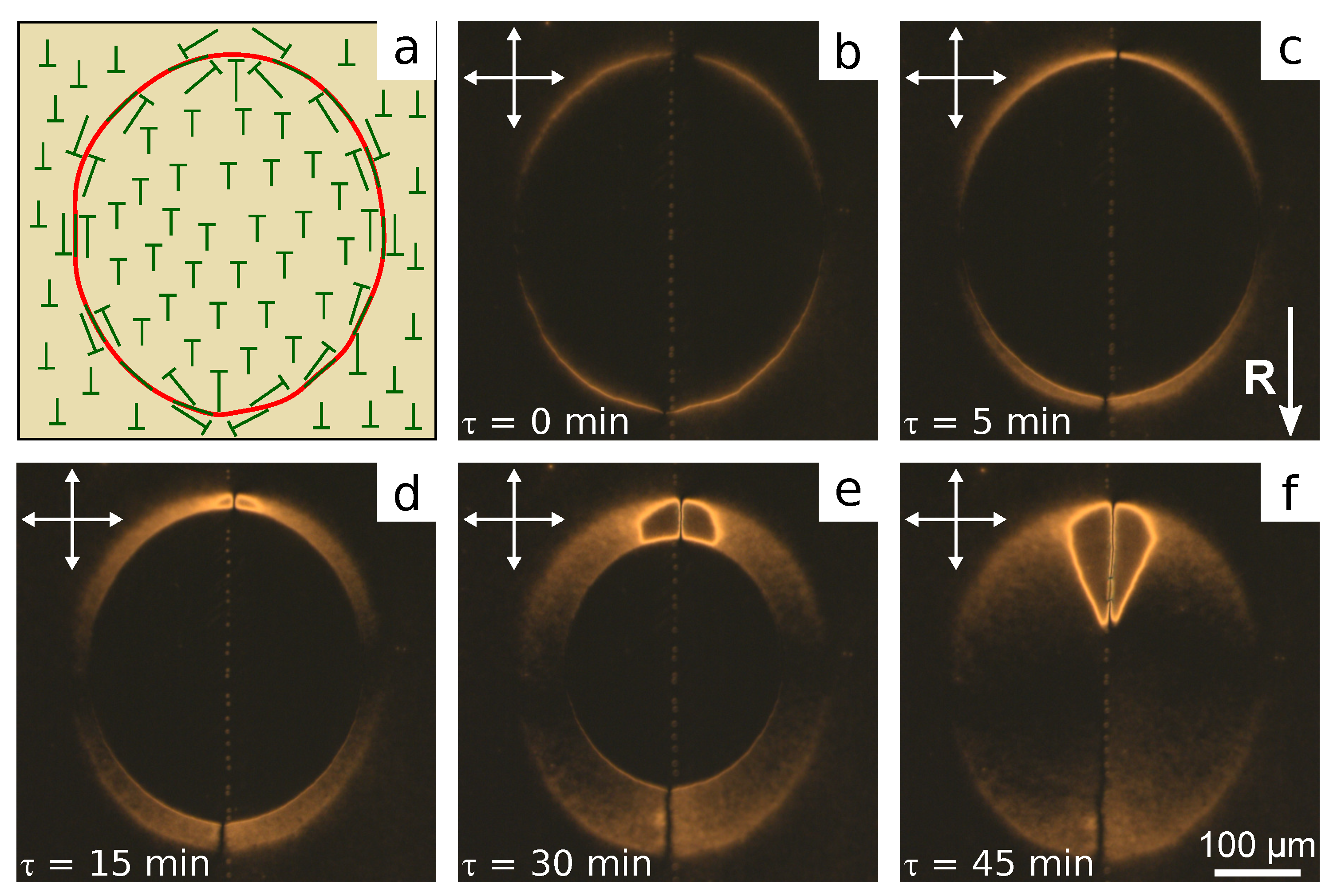 Polymers 13 02993 g006