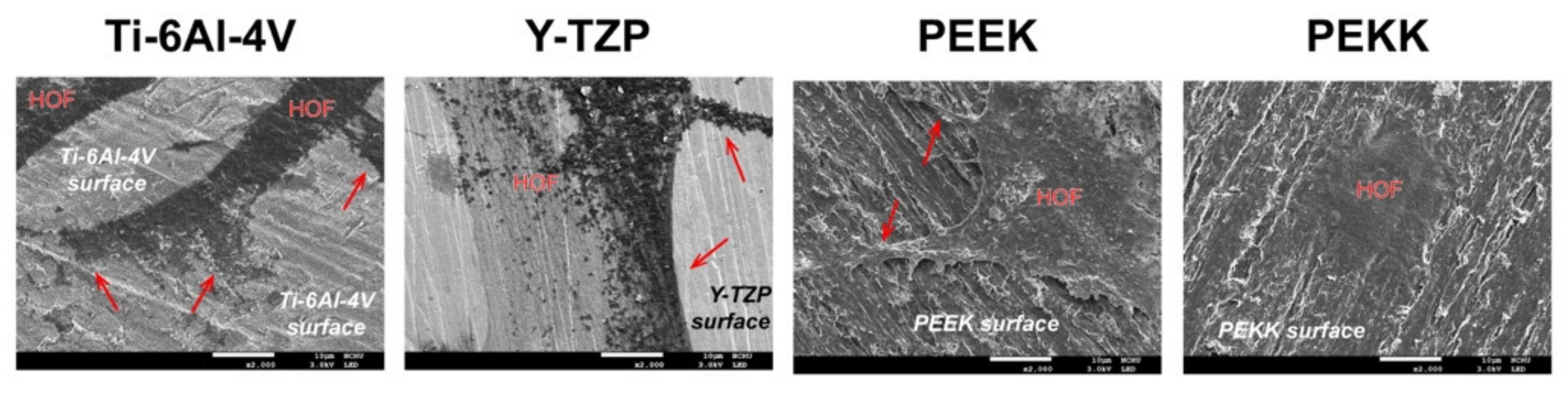 Polymers 13 02995 g003 550
