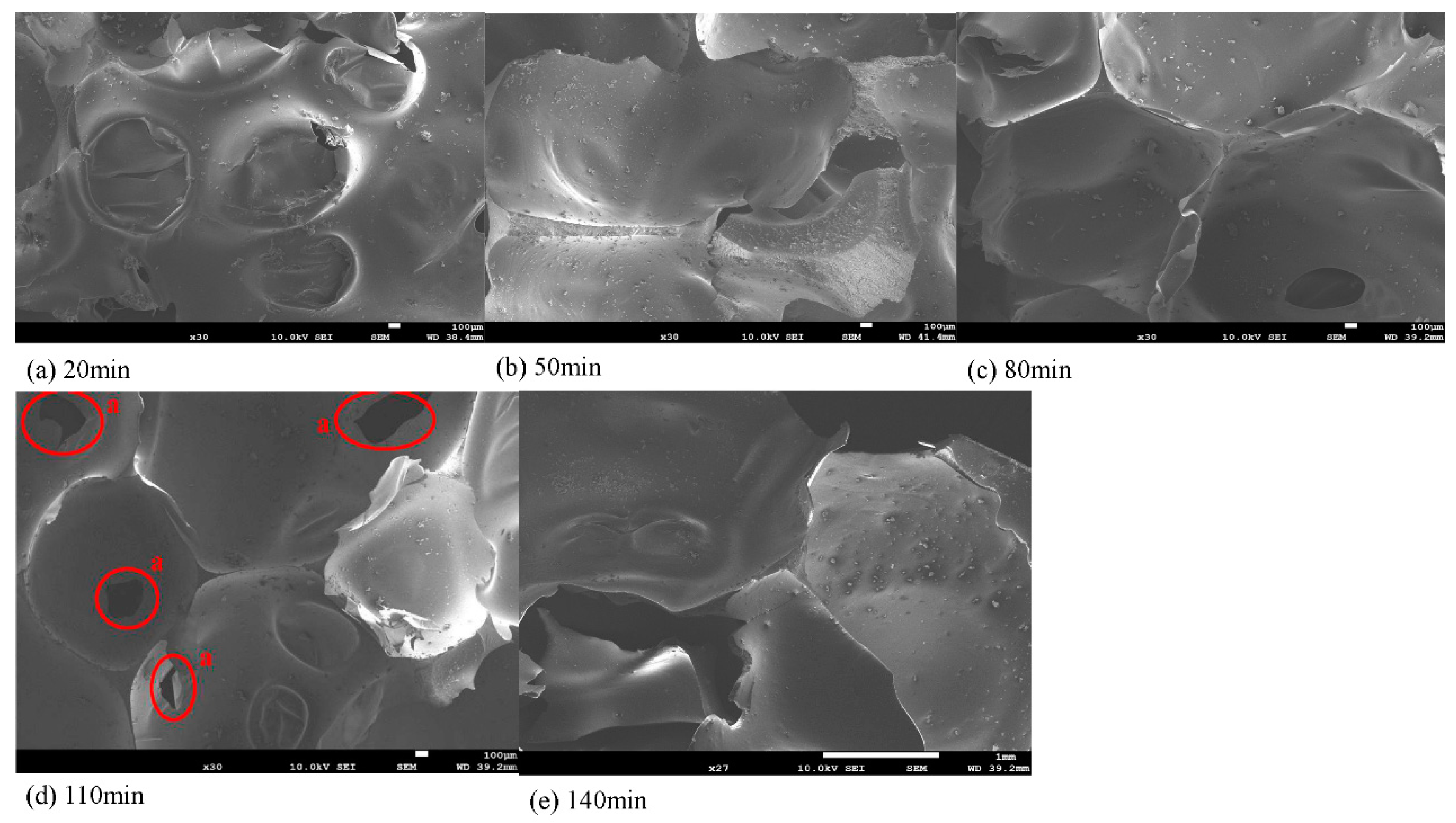 Polymers 13 02999 g010 550