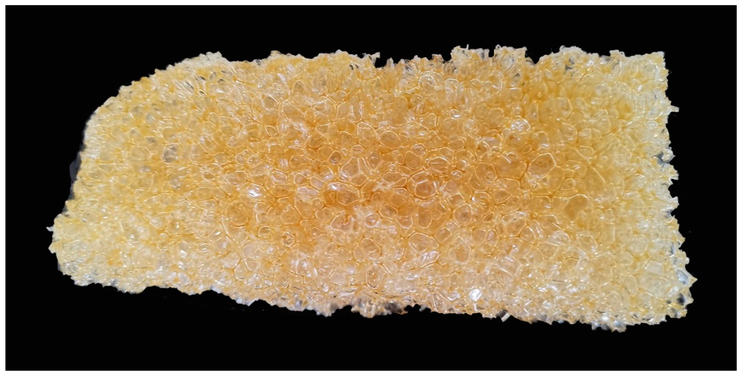 Polymers 13 02999 g011 550