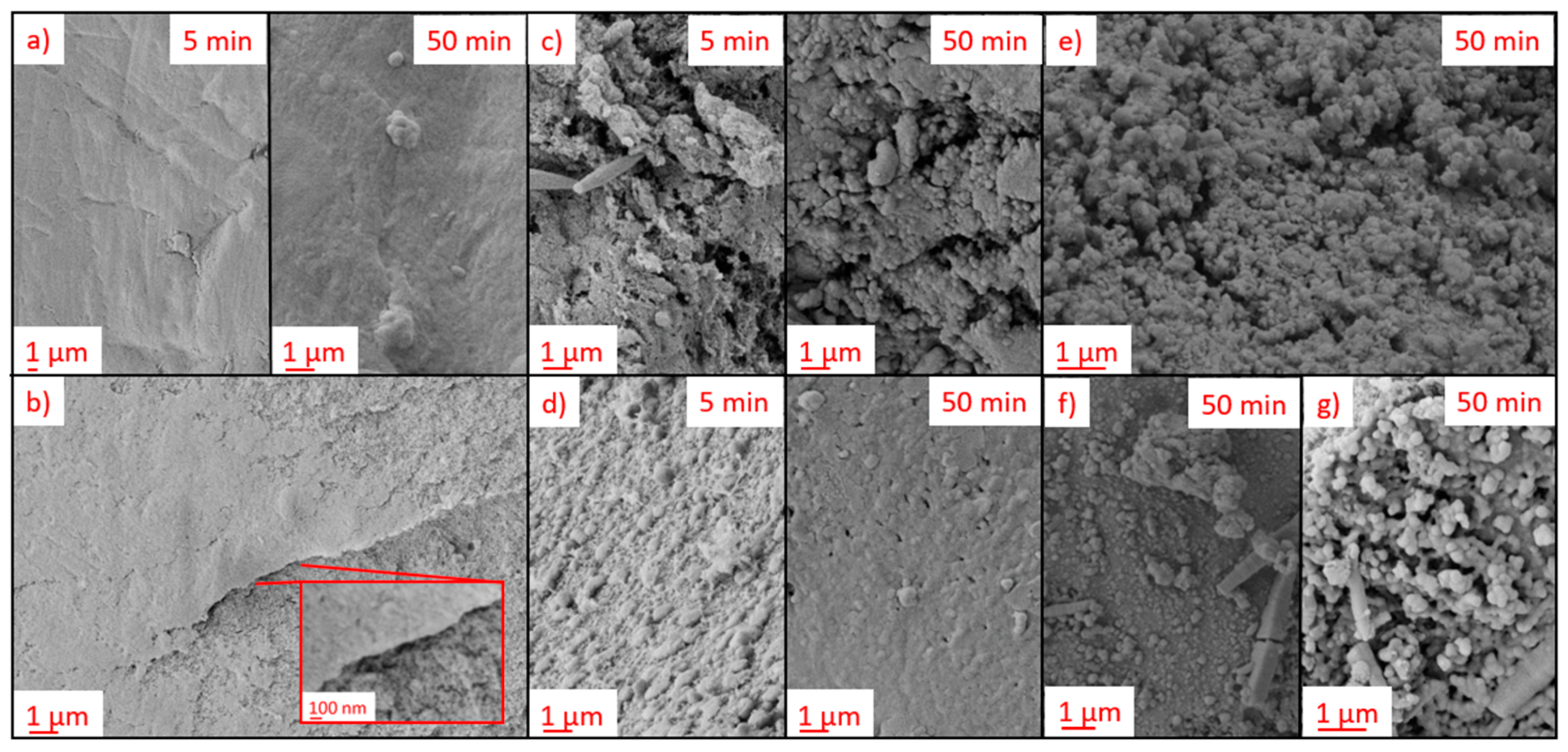 Polymers 13 03000 g004 Polymers 13 03000 g004