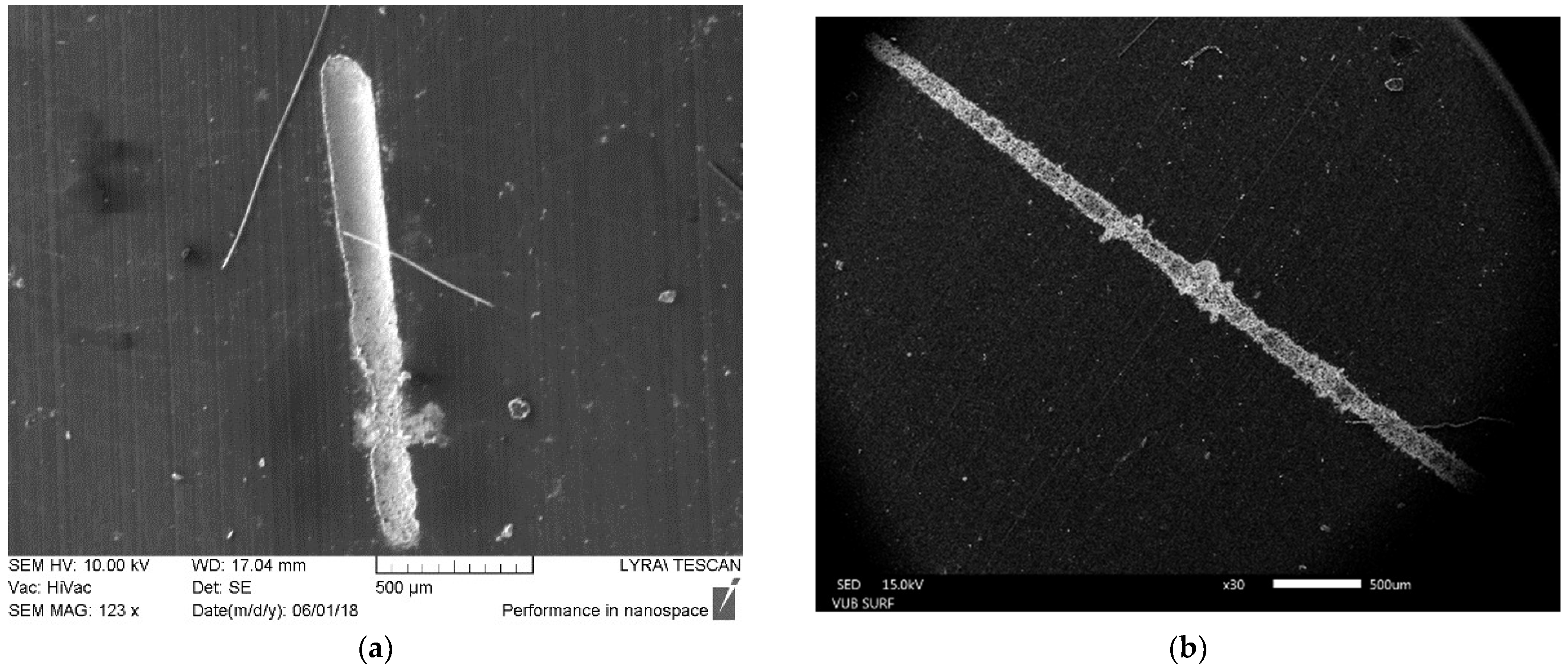 Polymers 13 03004 g002 550