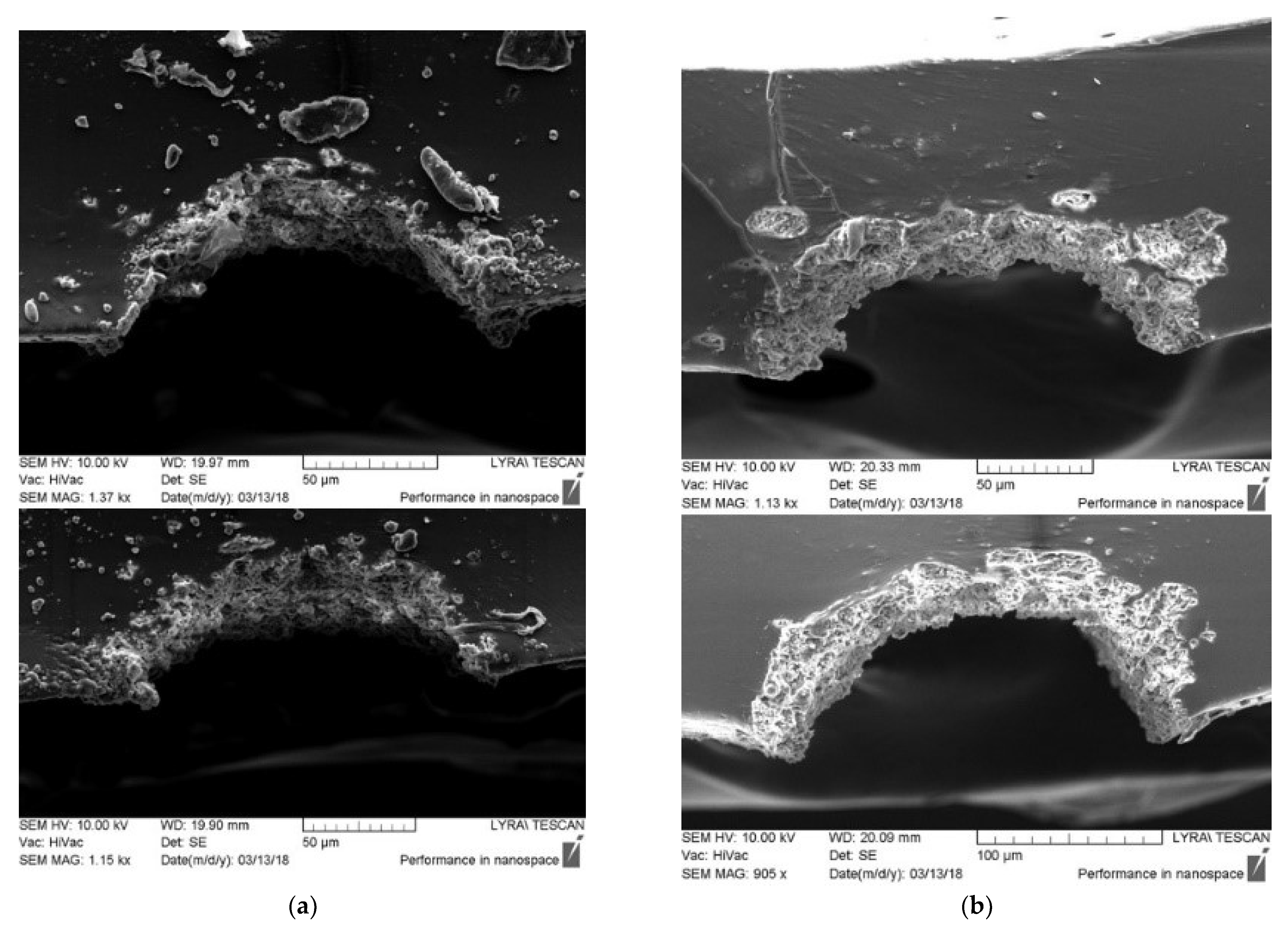 Polymers 13 03004 g006 550