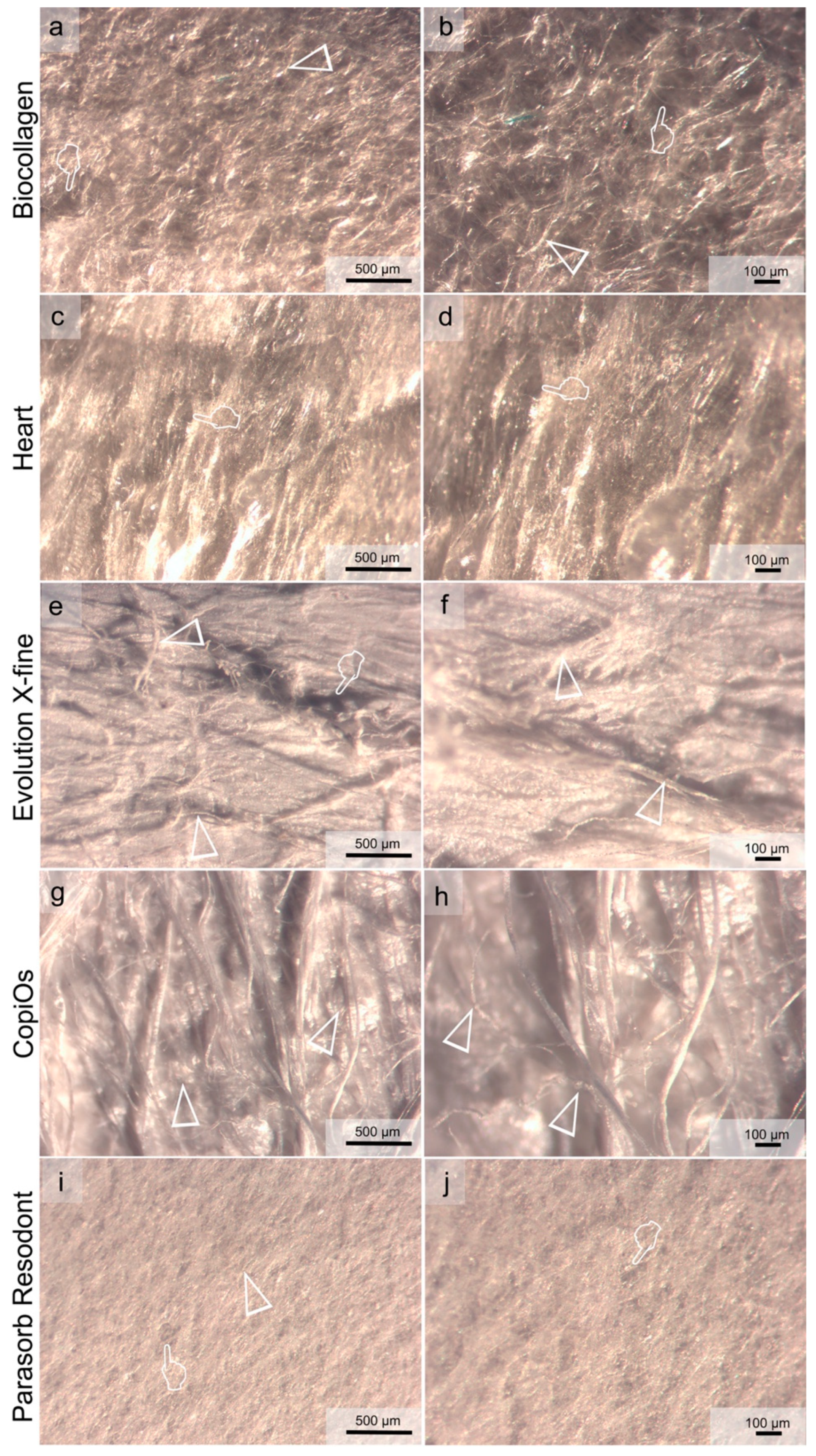 Polymers 13 03007 g004