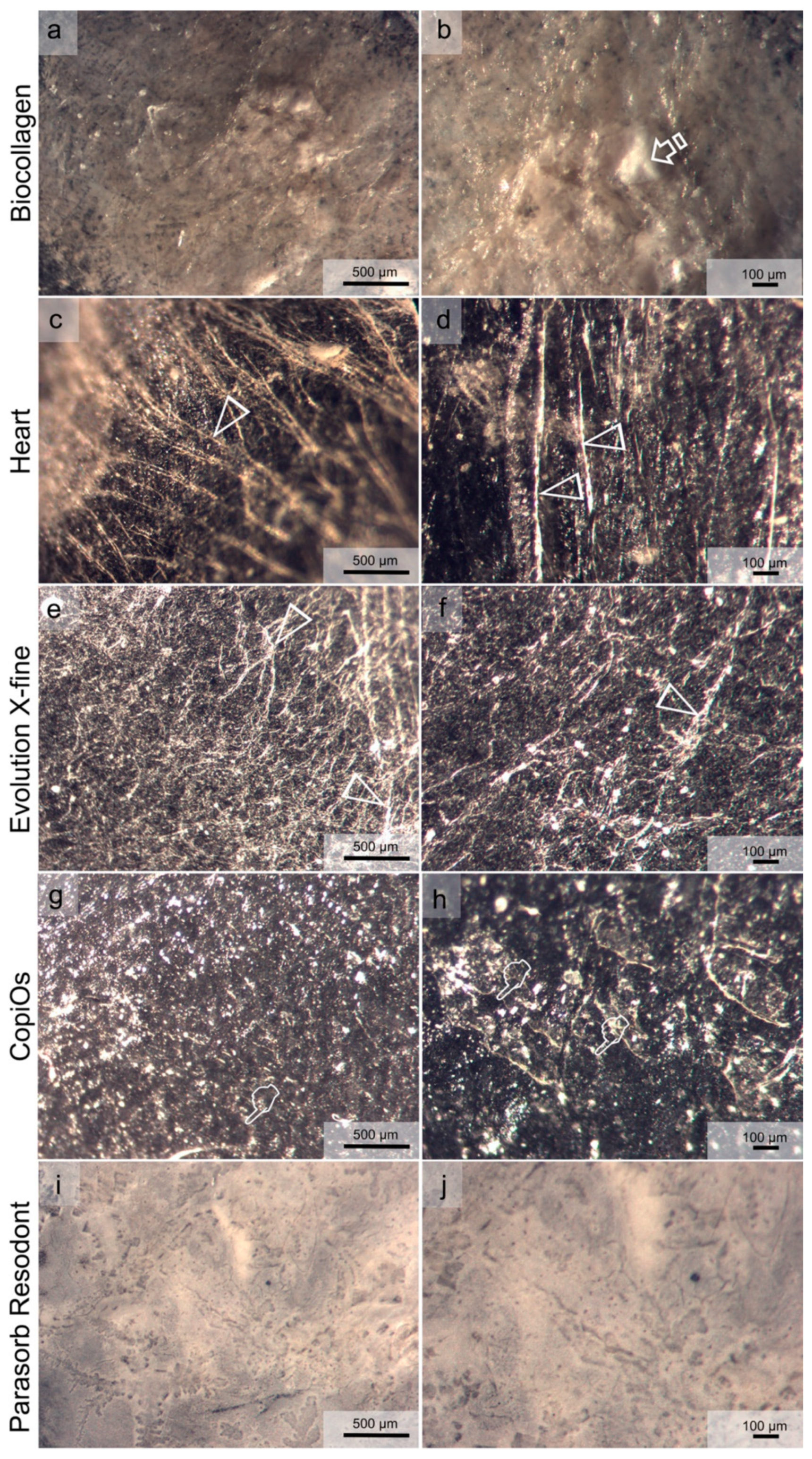 Polymers 13 03007 g005