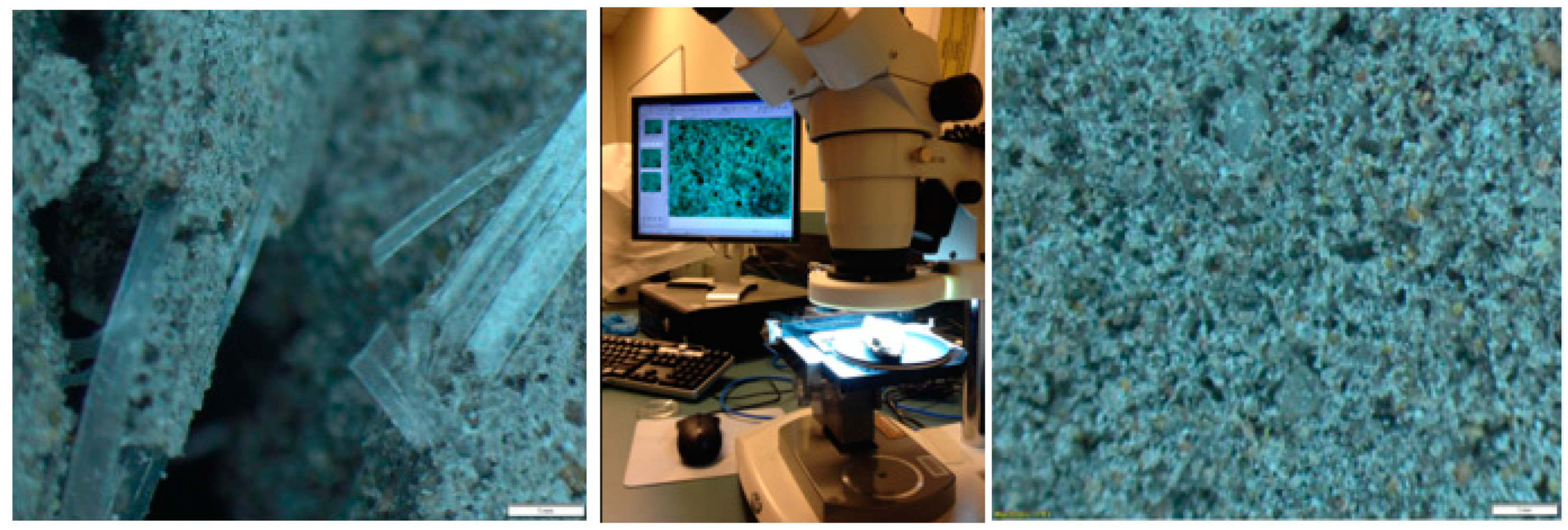 Polymers 13 03008 g006 550
