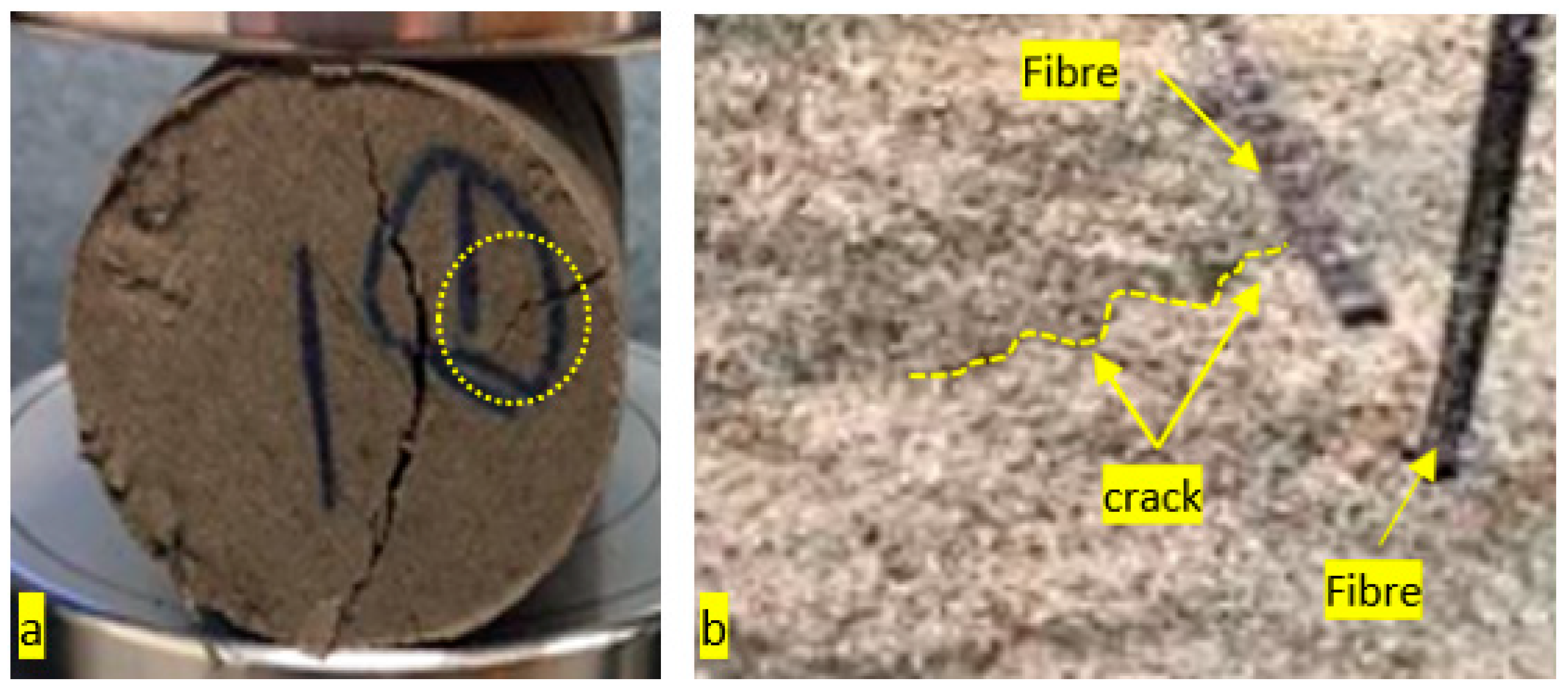 Polymers 13 03008 g011 550