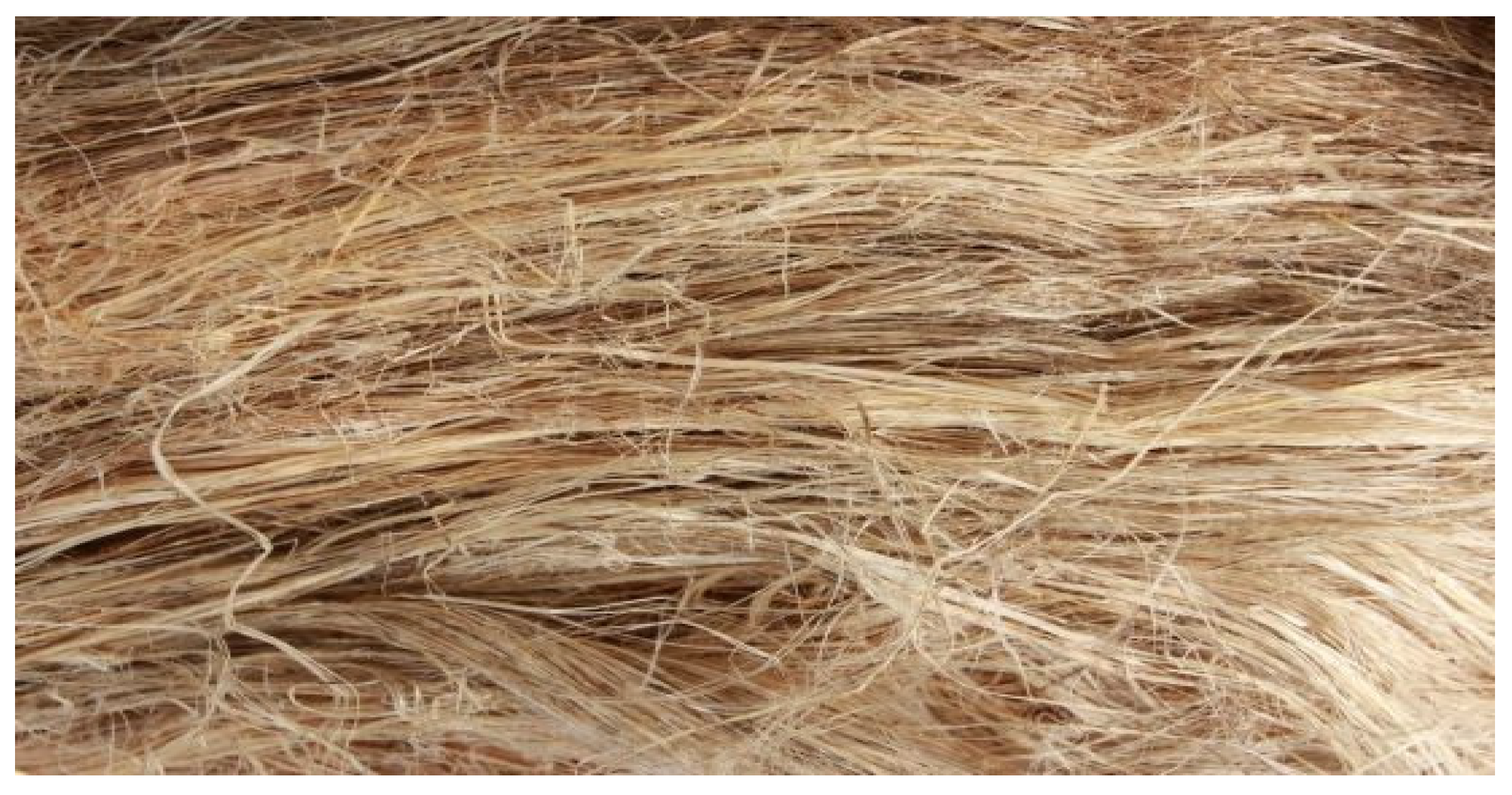 Polymers 13 03013 g001