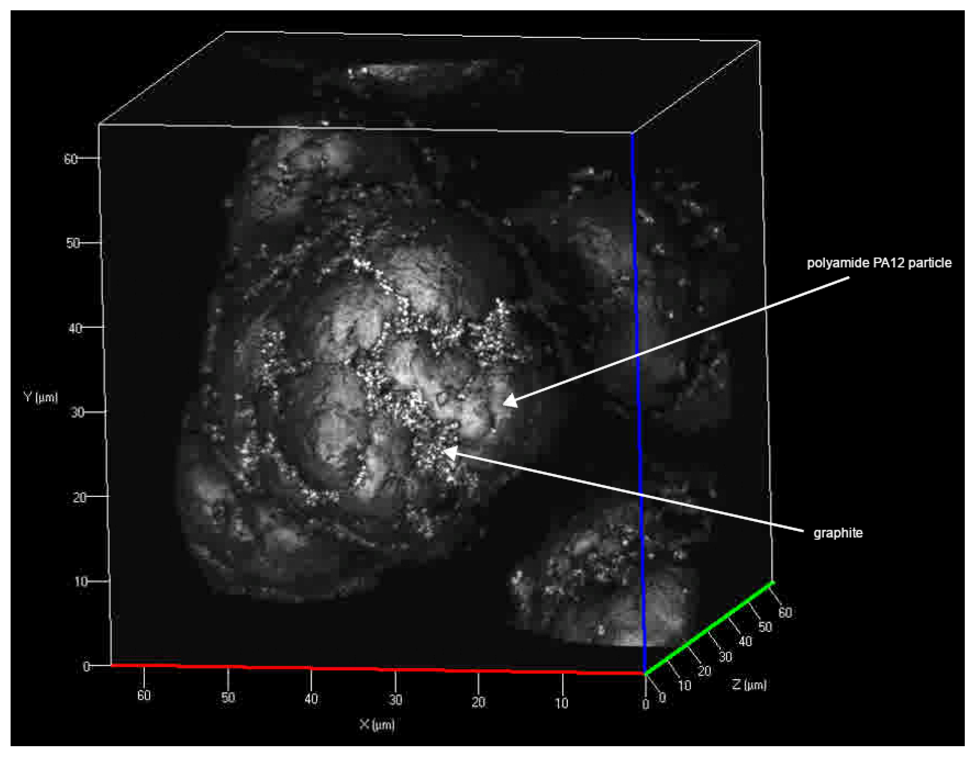 Polymers 13 03014 g001 550