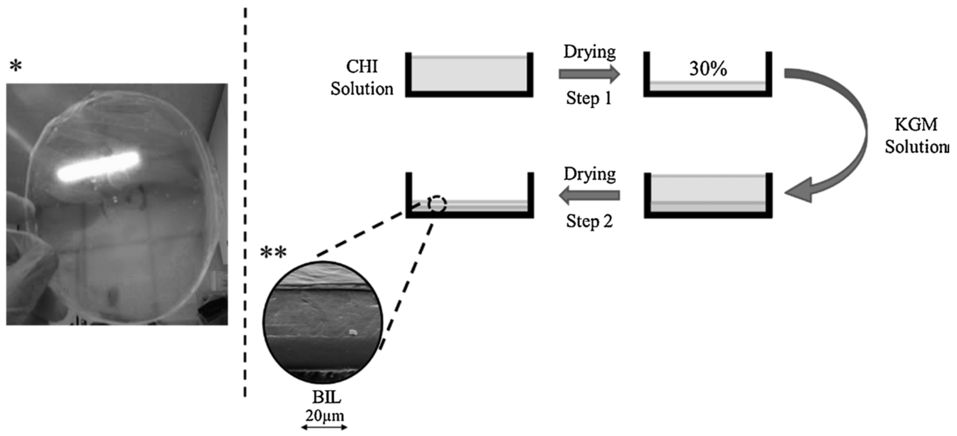 Polymers 13 03015 g004 550