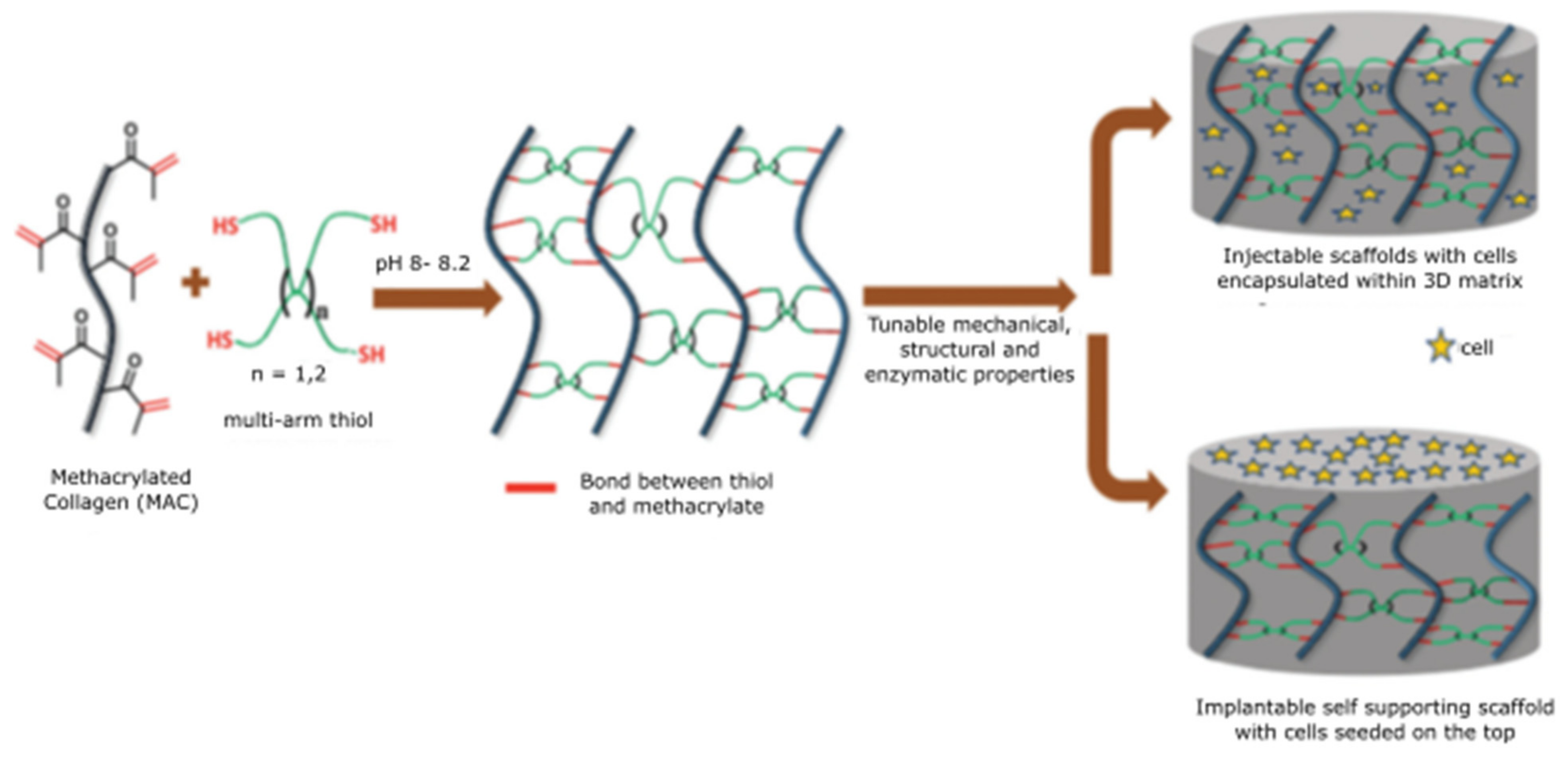 Polymers 13 03015 g007 550