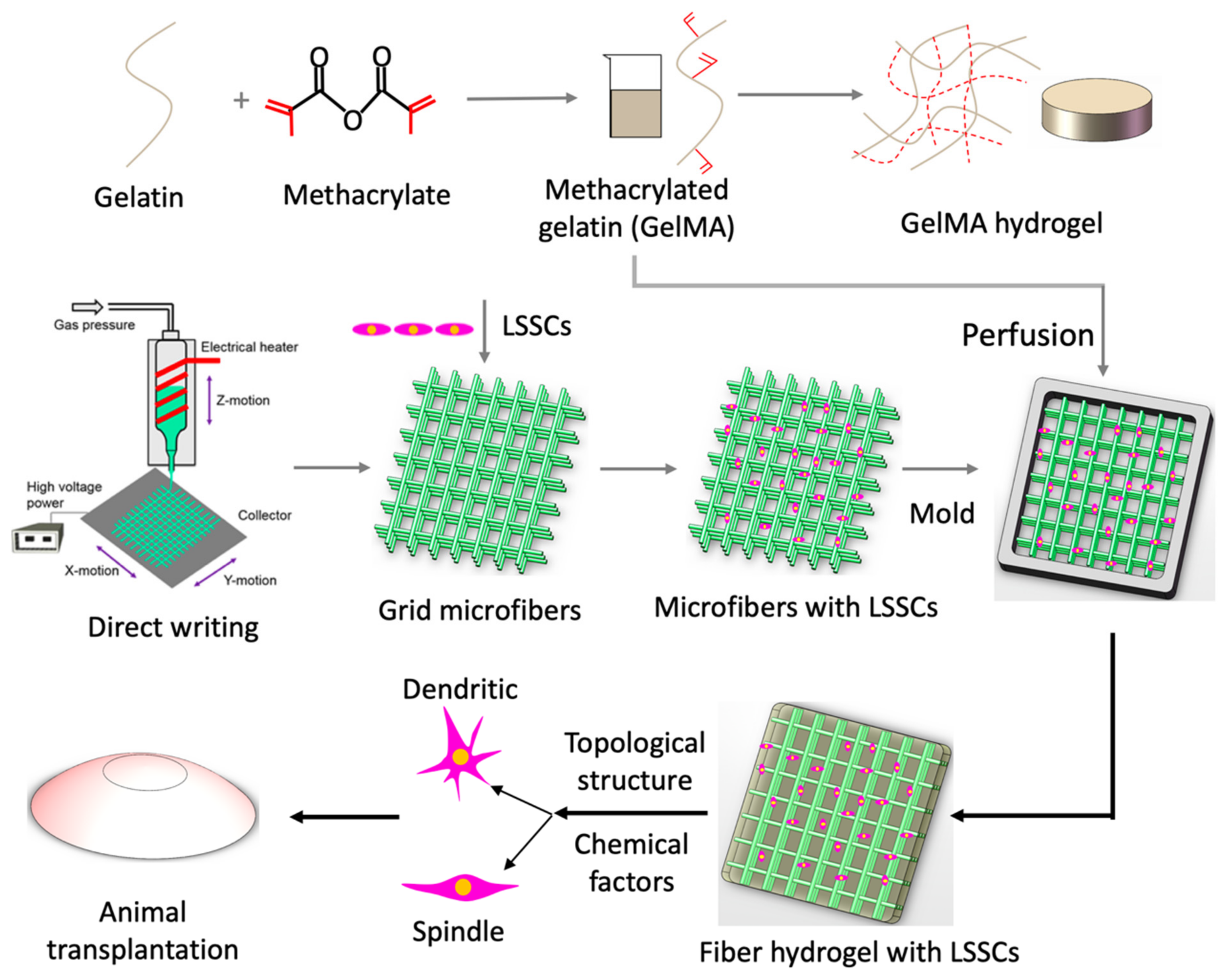 Polymers 13 03015 g008 550