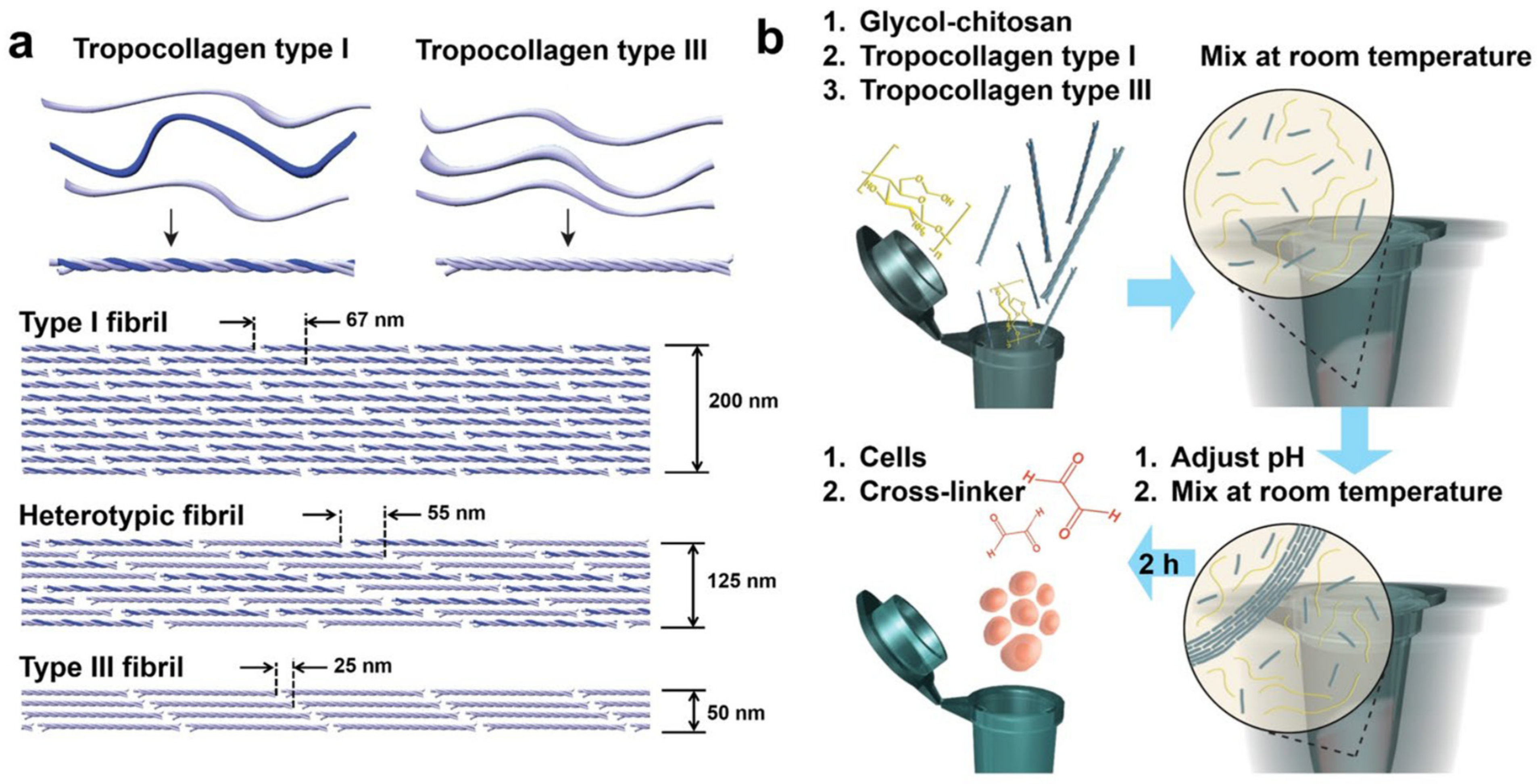 Polymers 13 03015 g009 550
