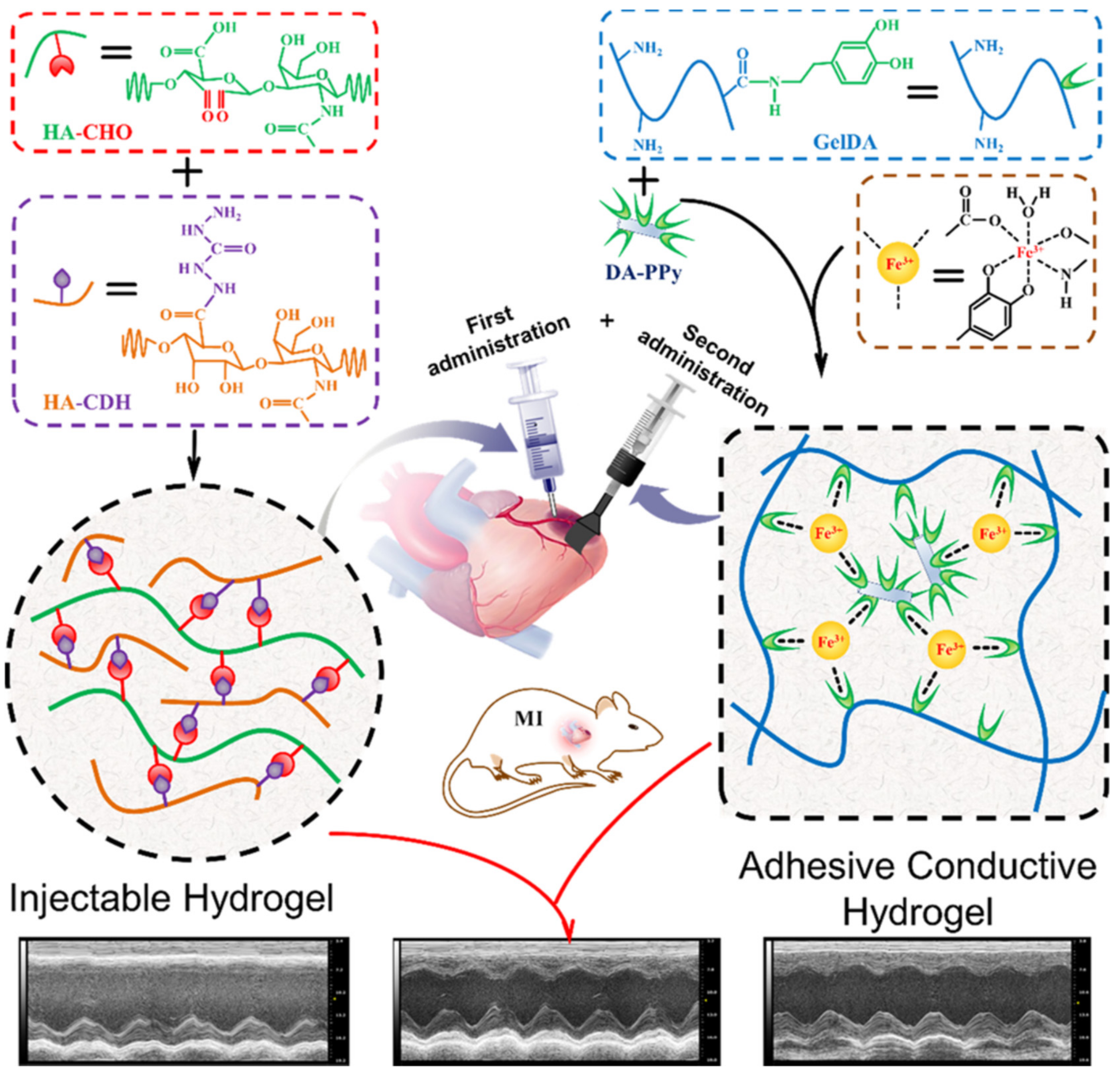 Polymers 13 03015 g010 550