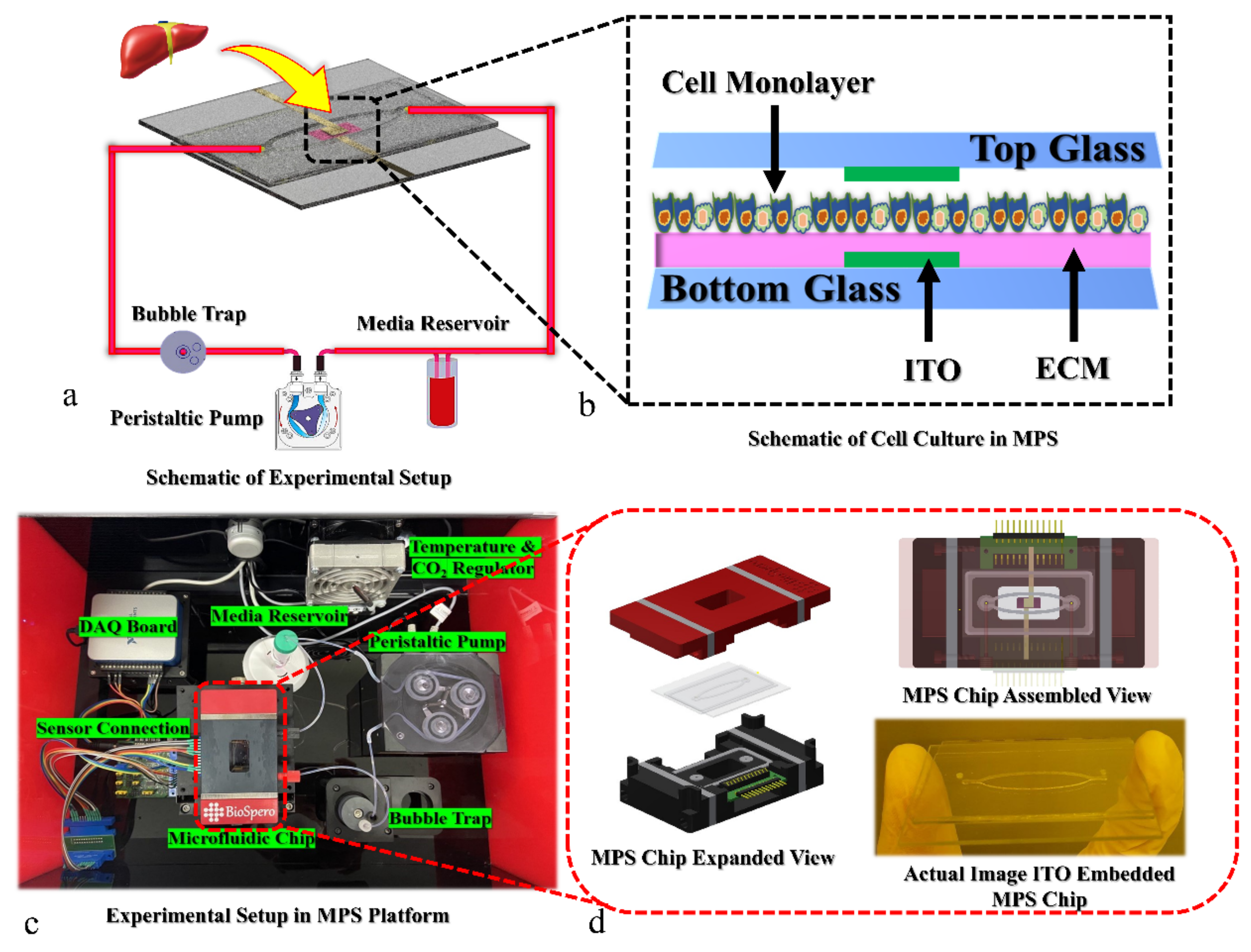 Polymers 13 03016 g001 Polymers 13 03016 g001