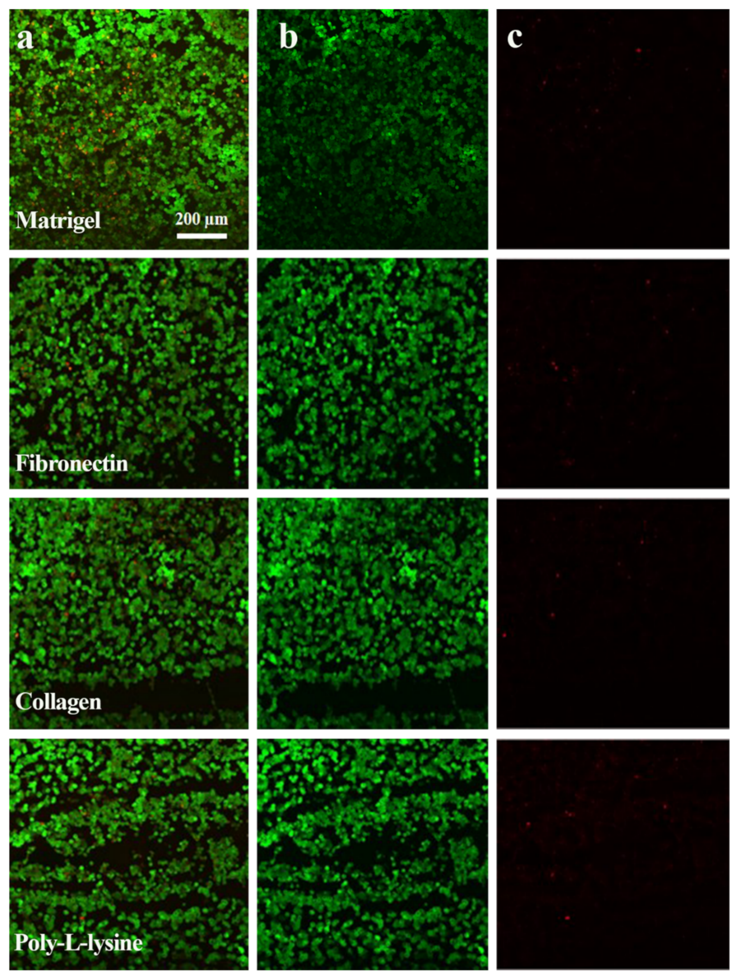 Polymers 13 03016 g003 Polymers 13 03016 g003