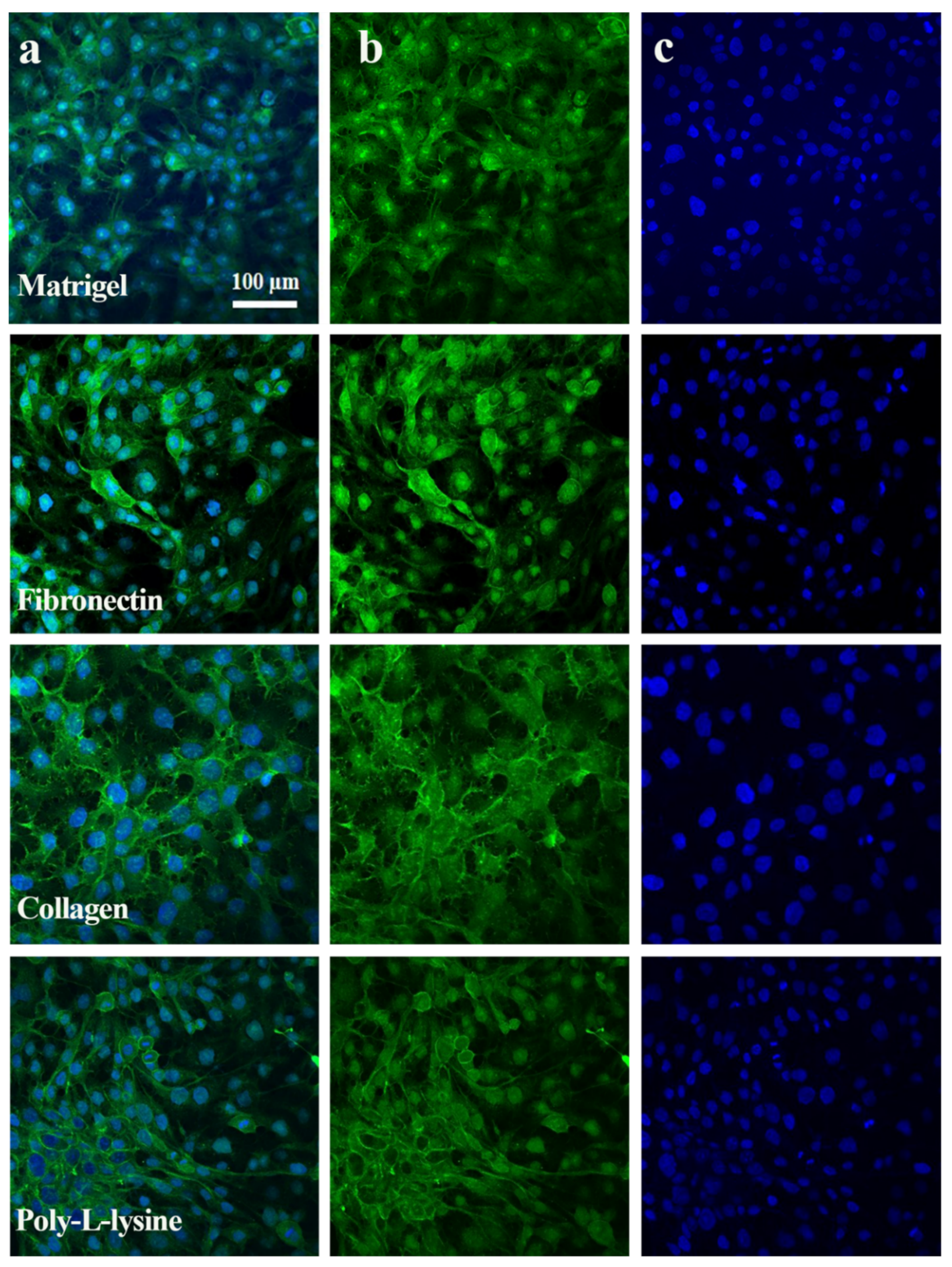 Polymers 13 03016 g006 Polymers 13 03016 g006