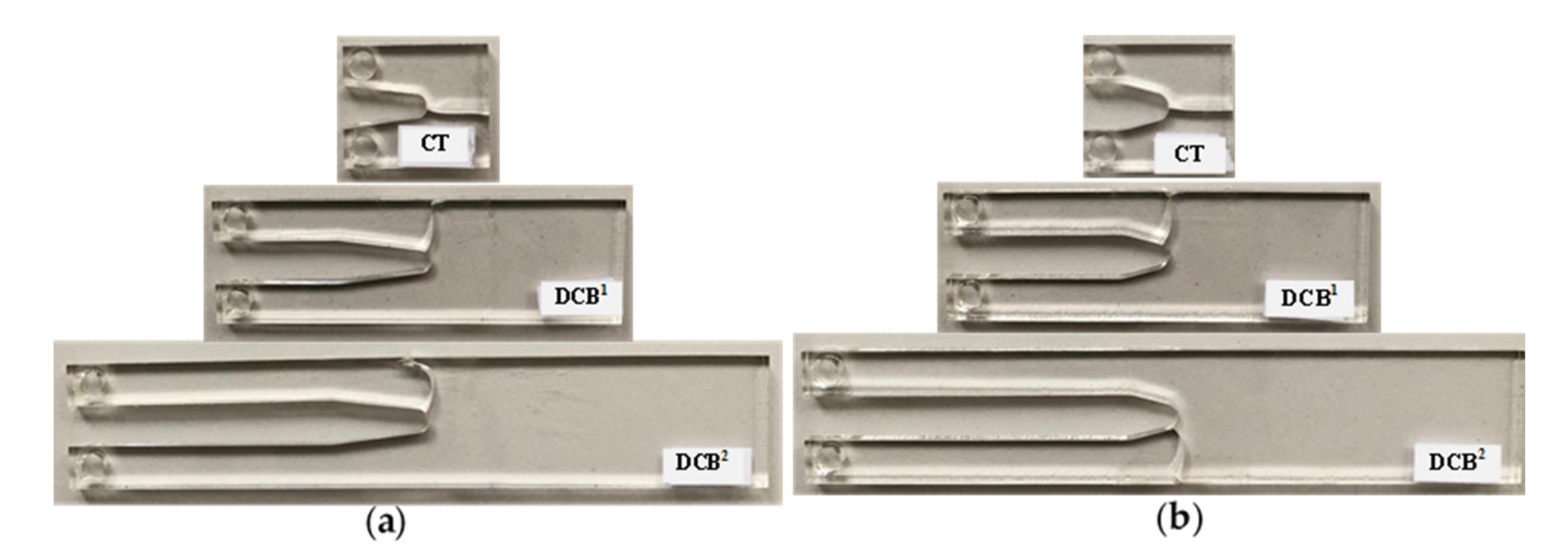 Polymers 13 03017 g012 550