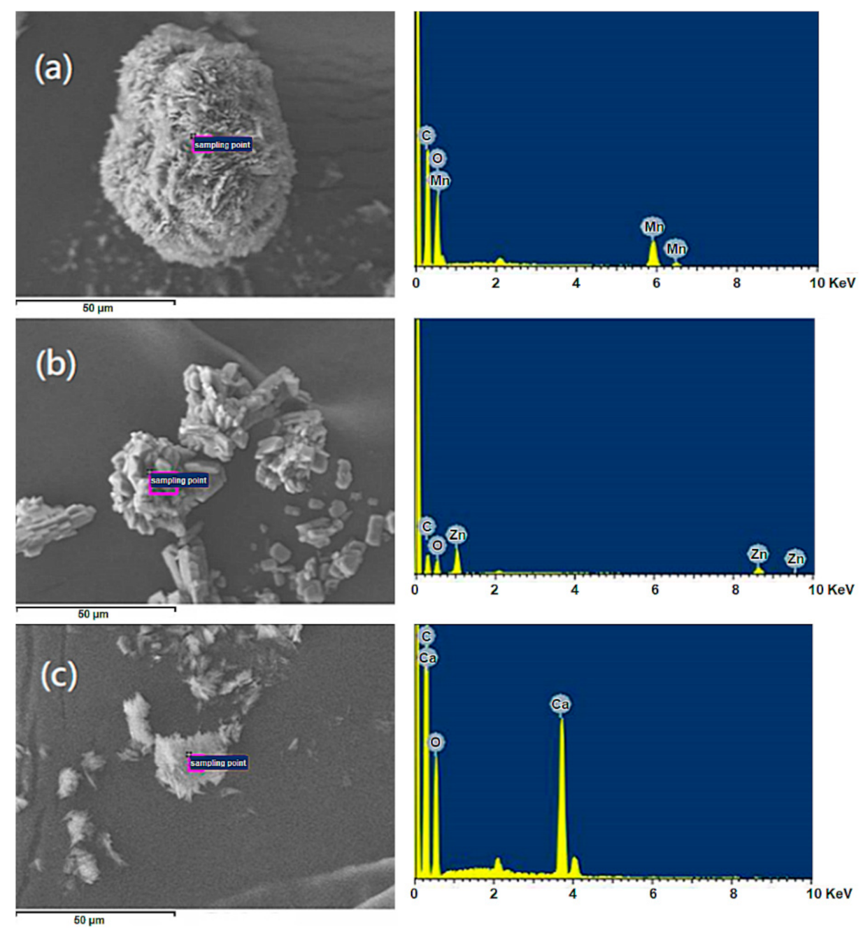 Polymers 13 03022 g002