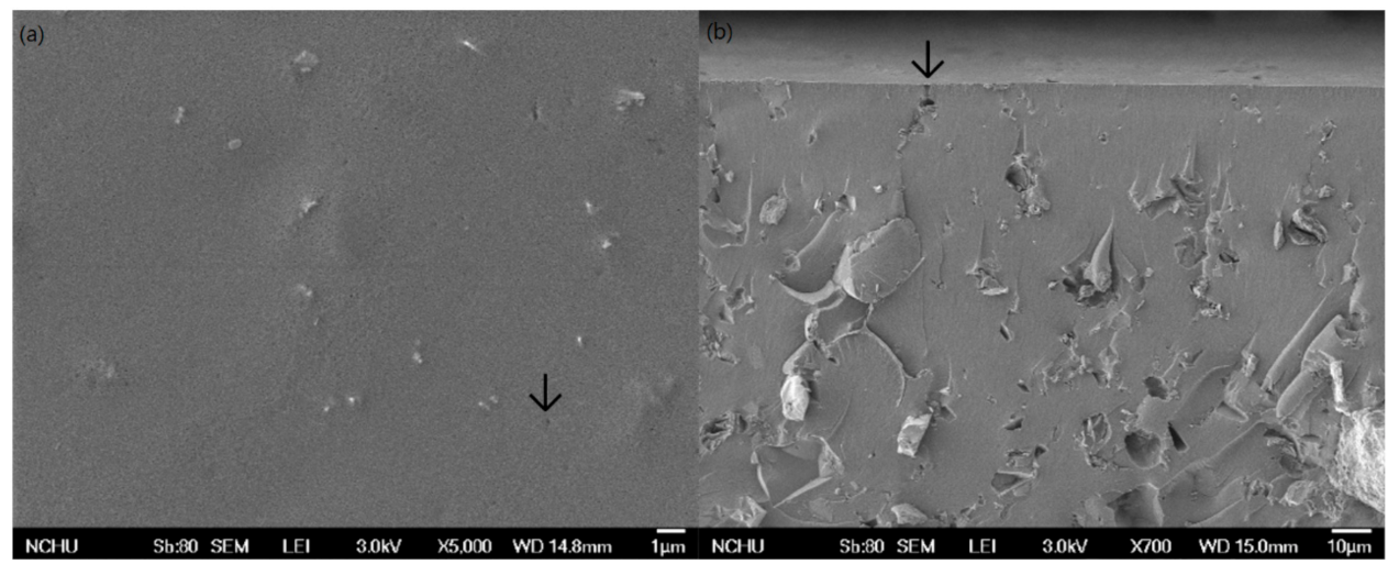 Polymers 13 03022 g005