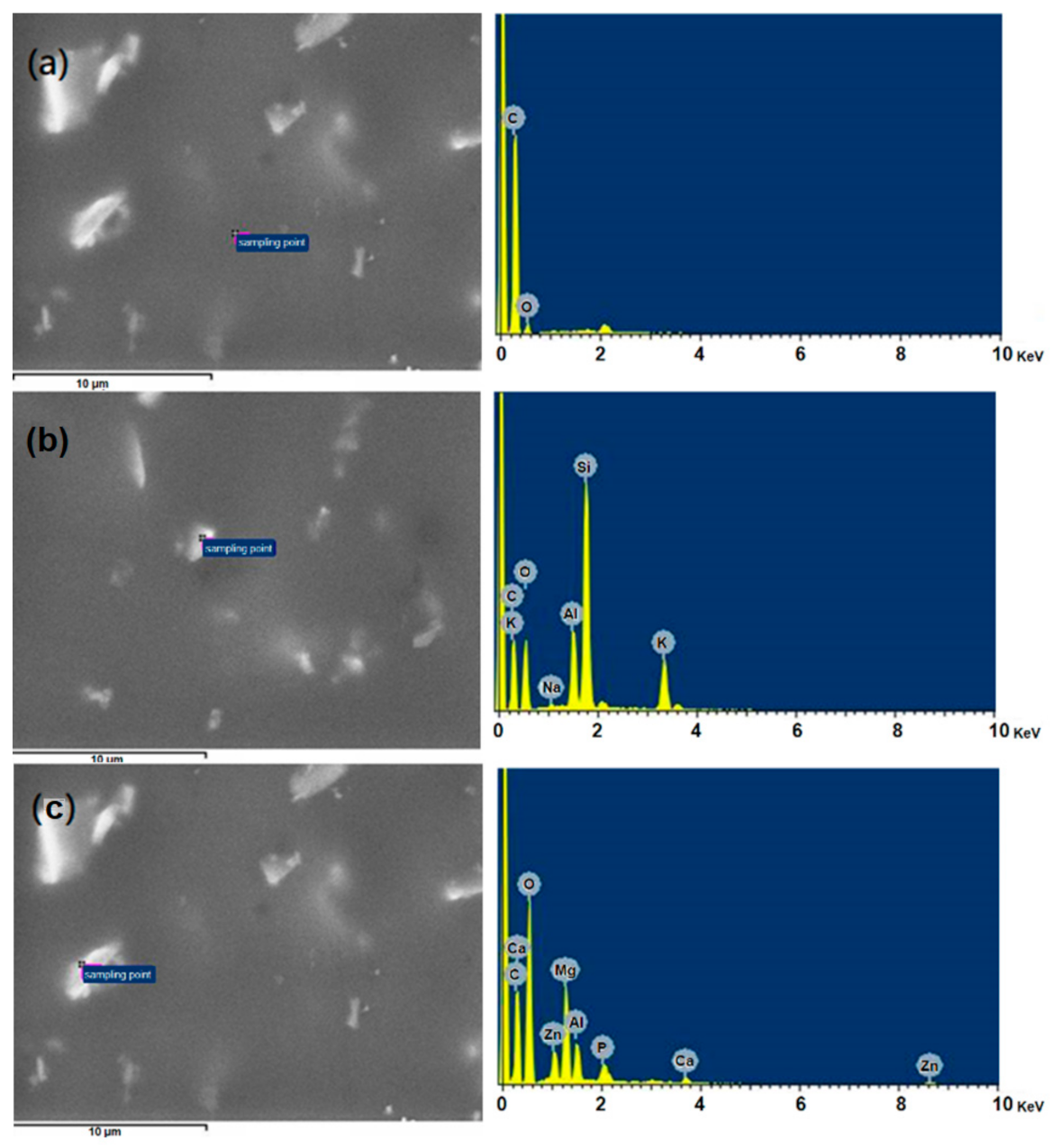 Polymers 13 03022 g006