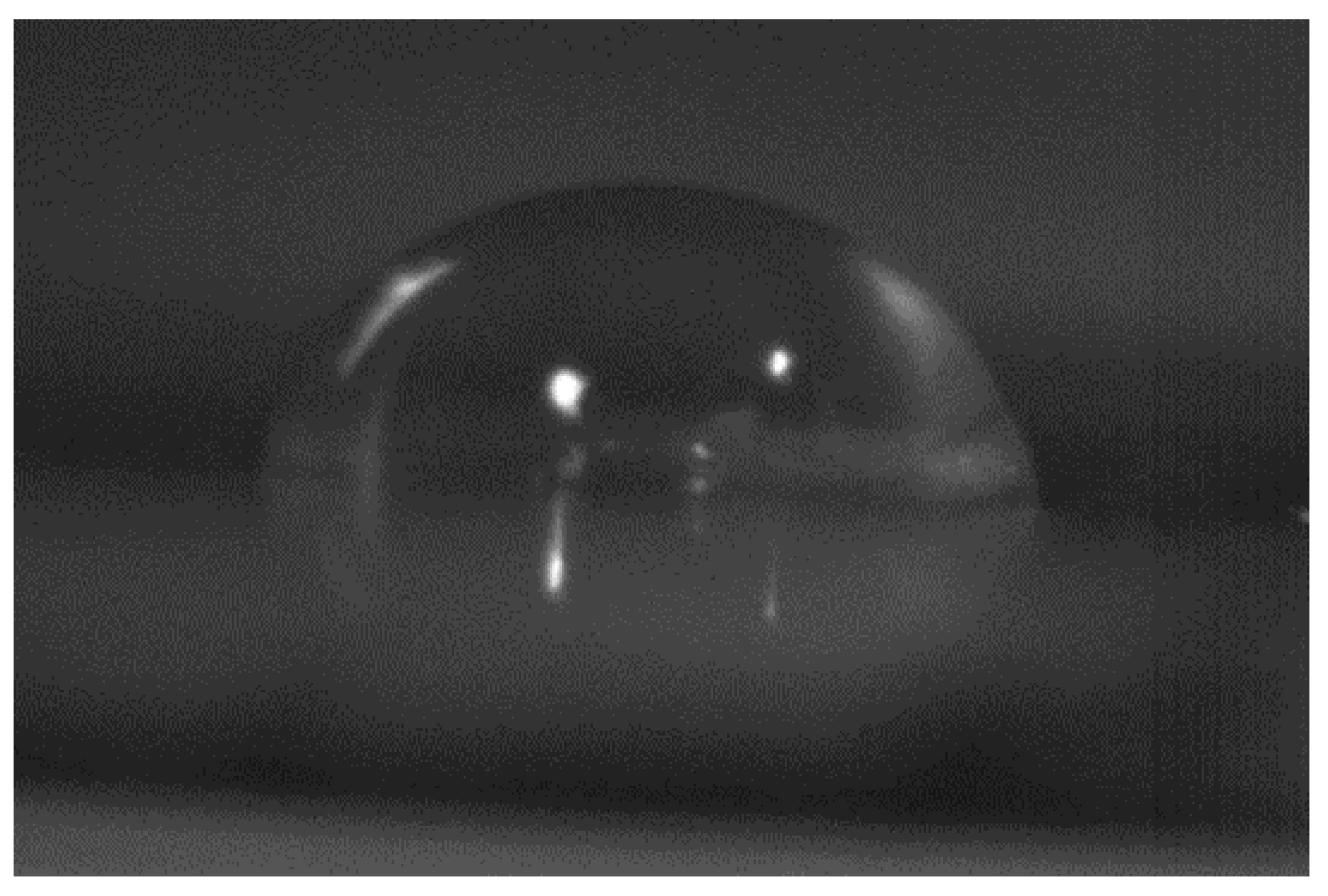 Polymers 13 03023 g005