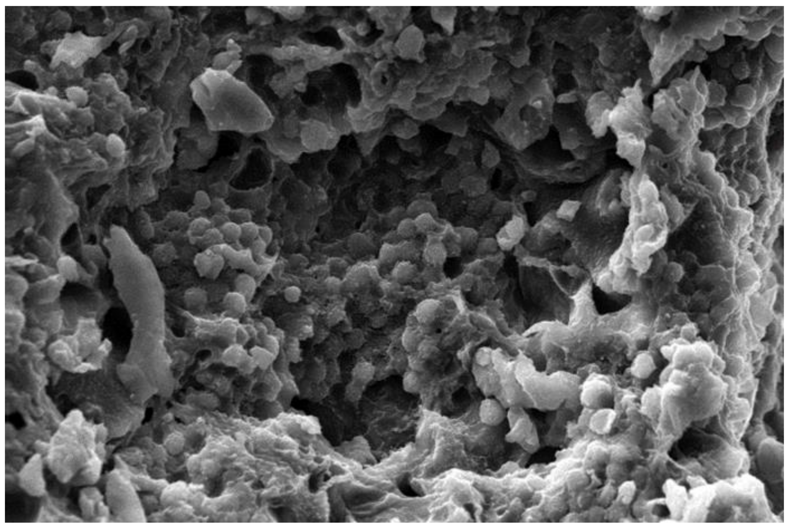 Polymers 13 03023 g006