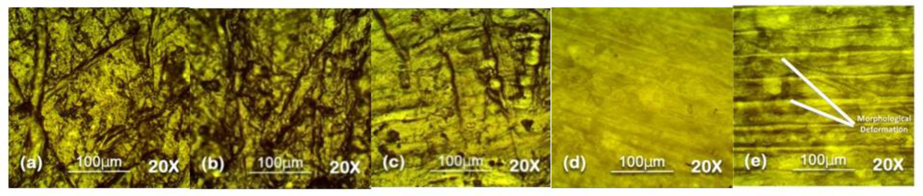 Polymers 13 03024 g010 550