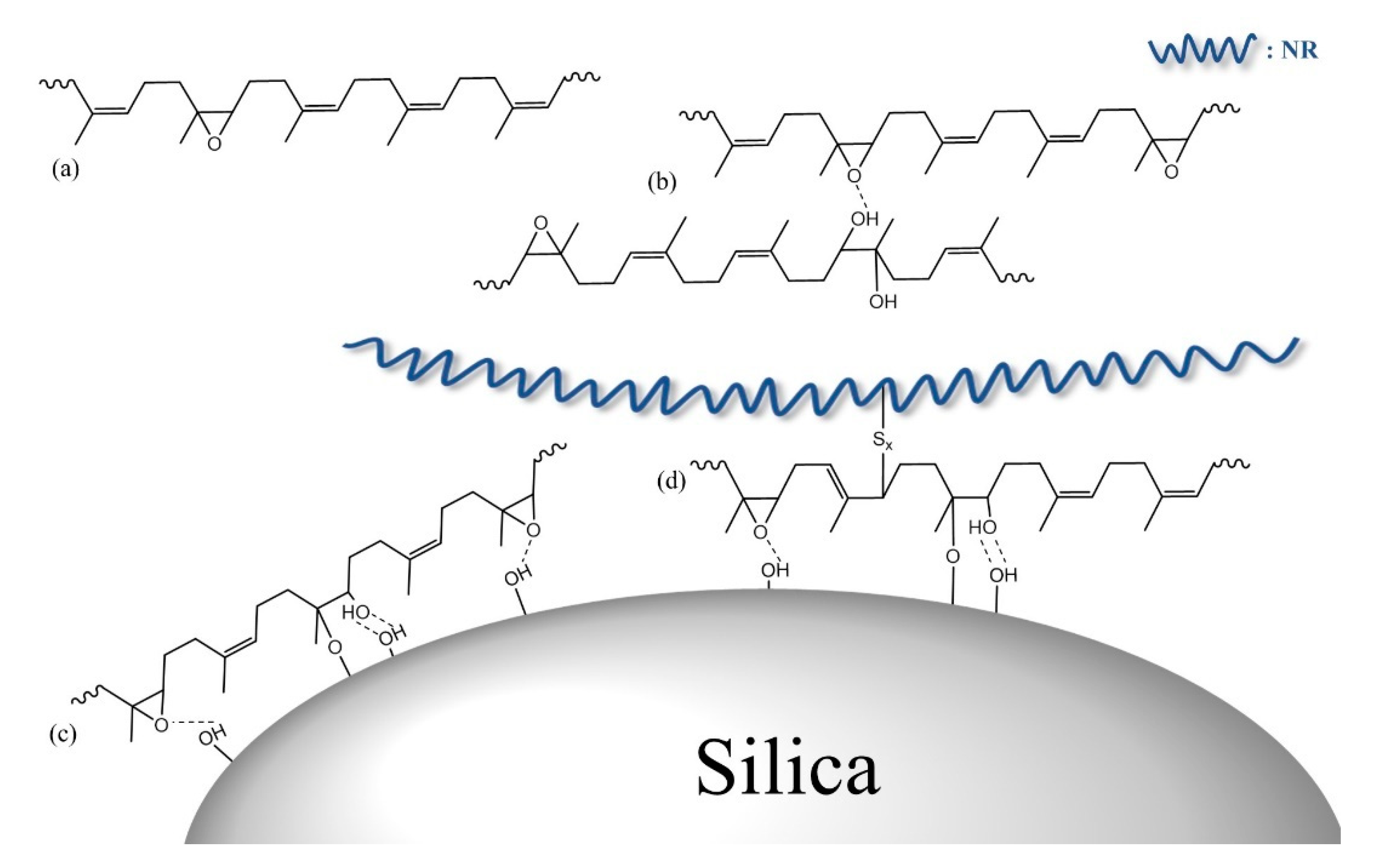 Polymers 13 03026 g004 Polymers 13 03026 g004