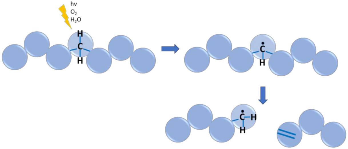 Polymers 13 03027 g007 Polymers 13 03027 g007