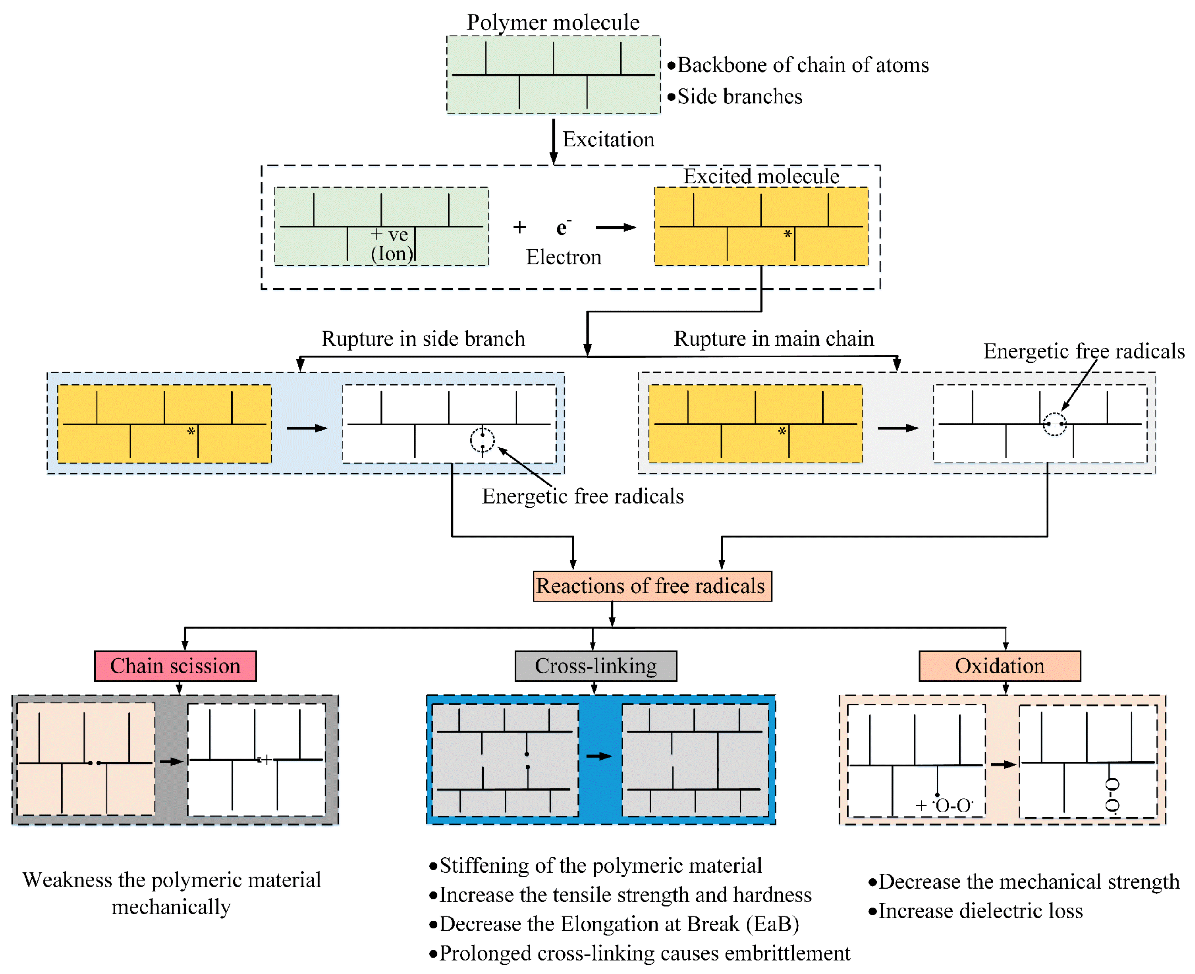 Polymers 13 03033 g015