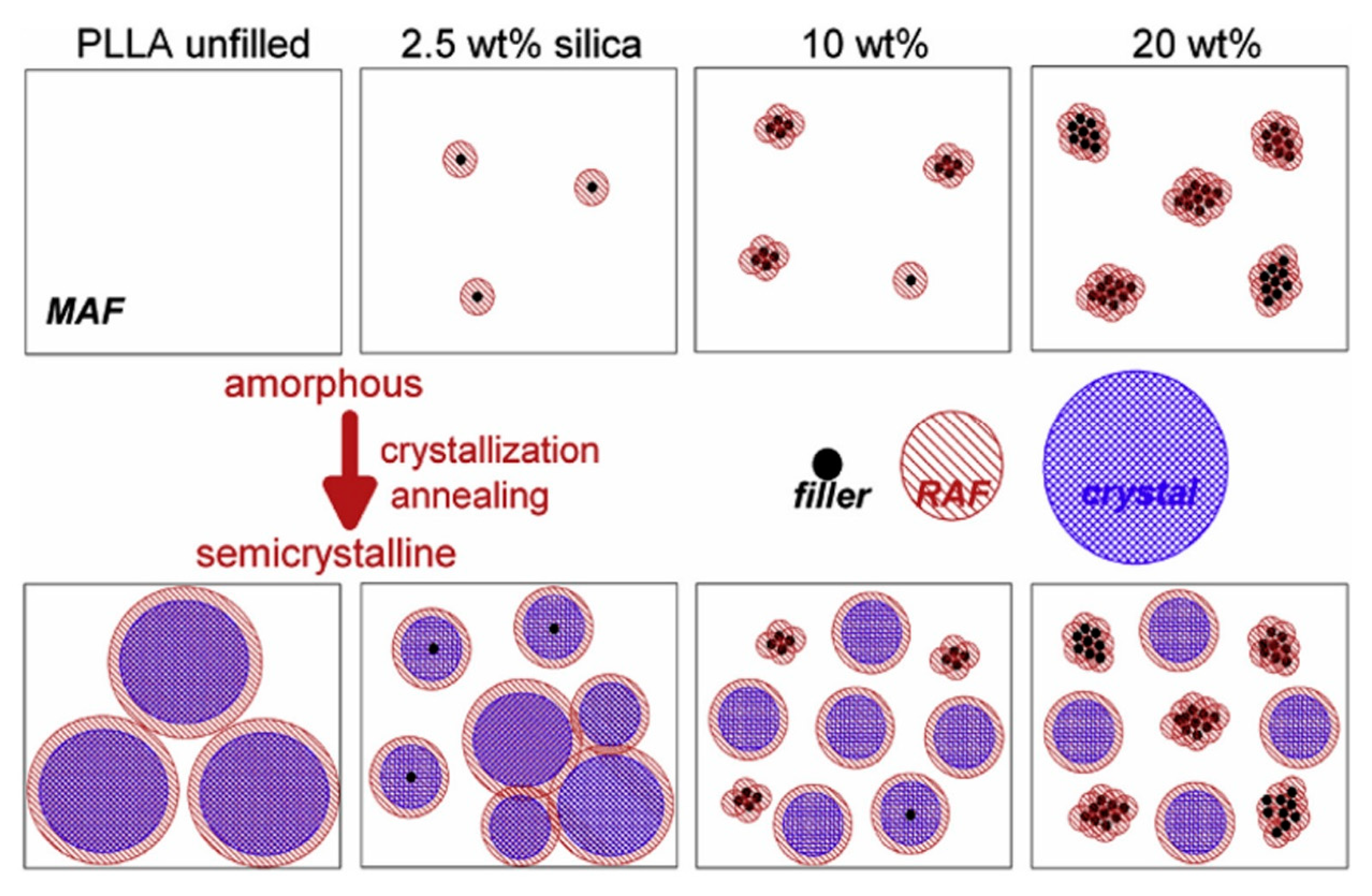 Polymers 13 03036 g004