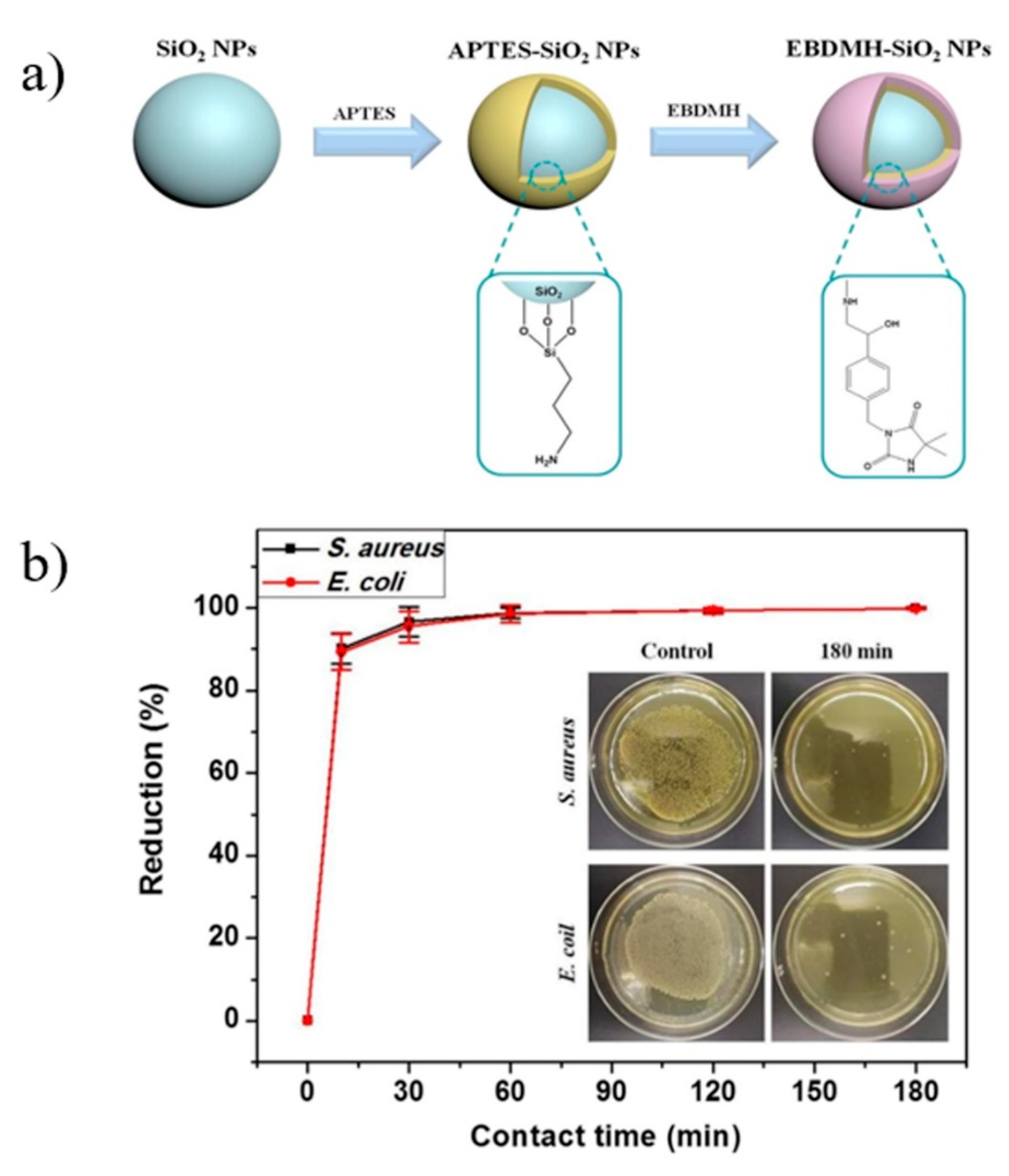 Polymers 13 03036 g008