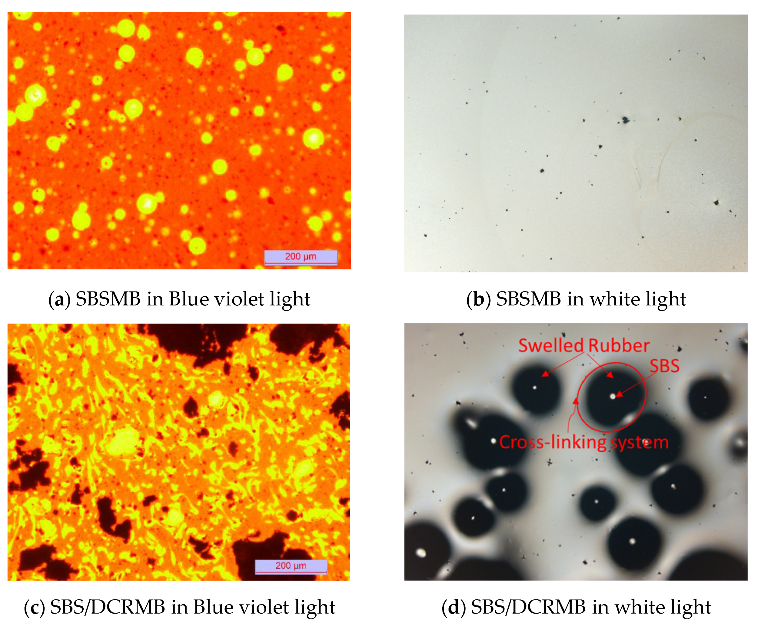 Polymers 13 03037 g003 550