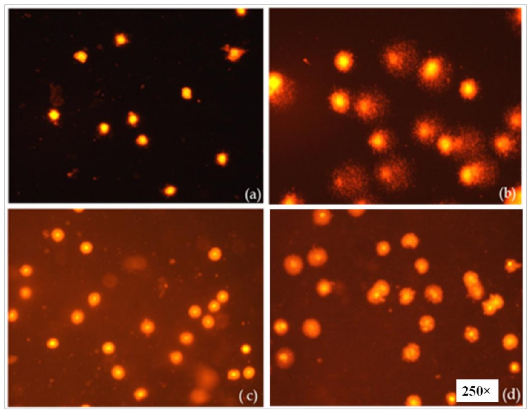 Polymers 13 03038 g007 Polymers 13 03038 g007
