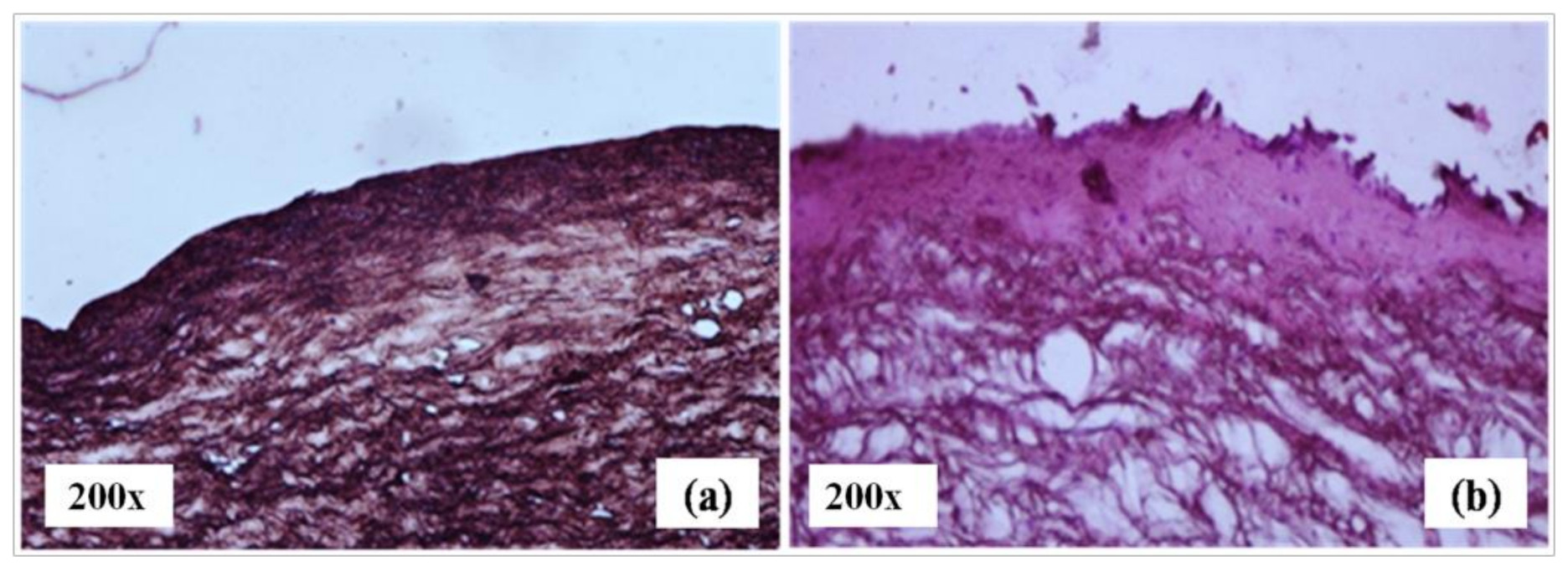 Polymers 13 03038 g010 Polymers 13 03038 g010