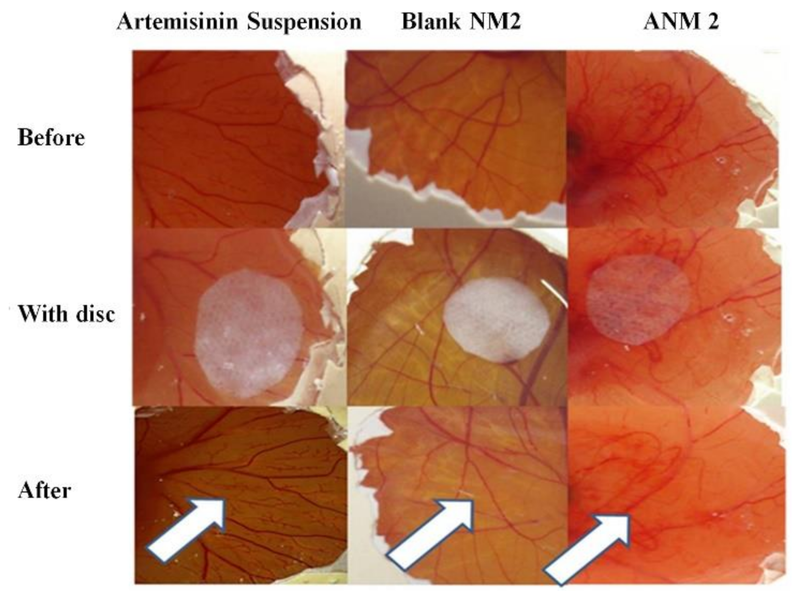 Polymers 13 03038 g011 Polymers 13 03038 g011