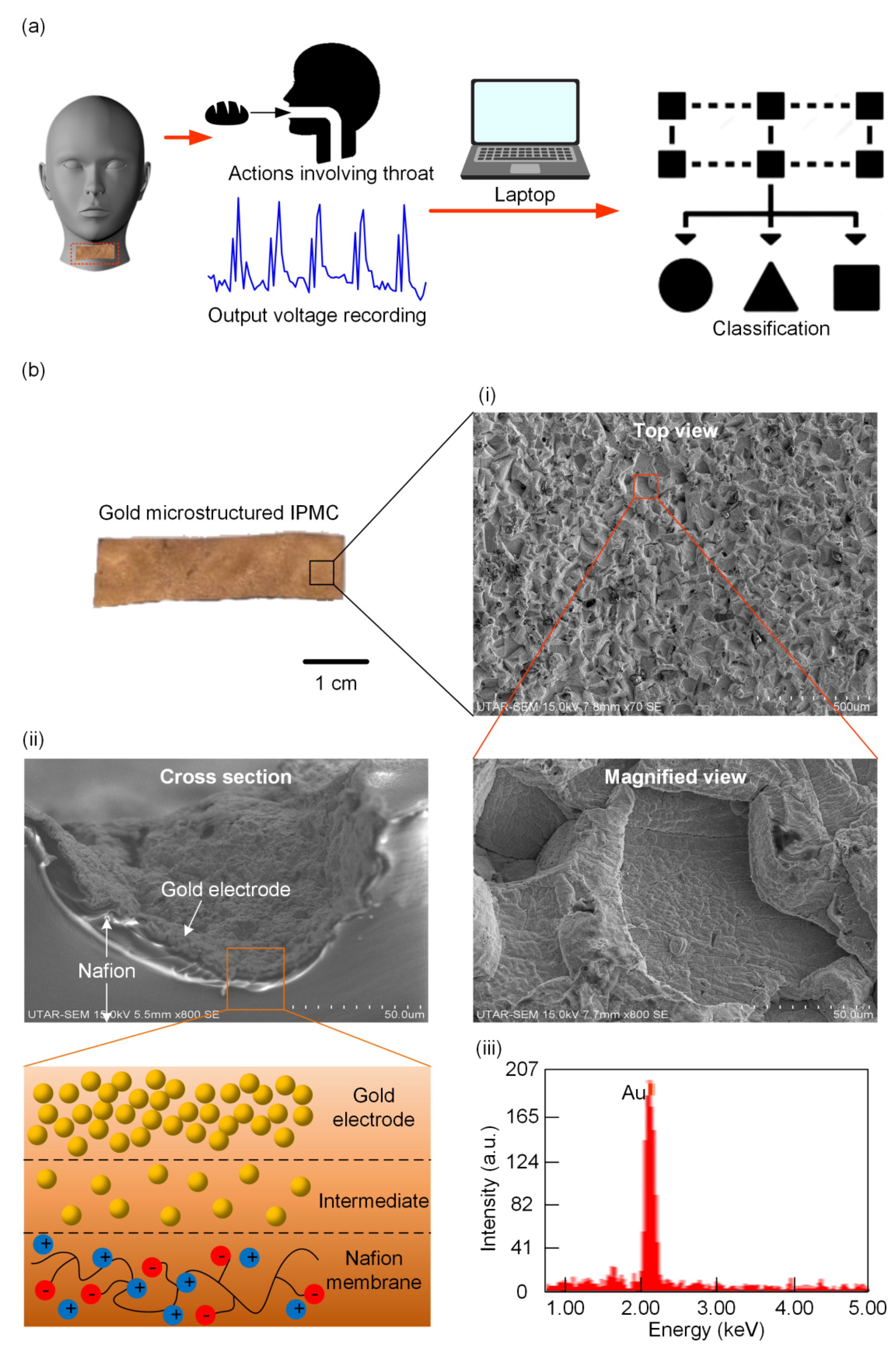 Polymers 13 03041 g001 550