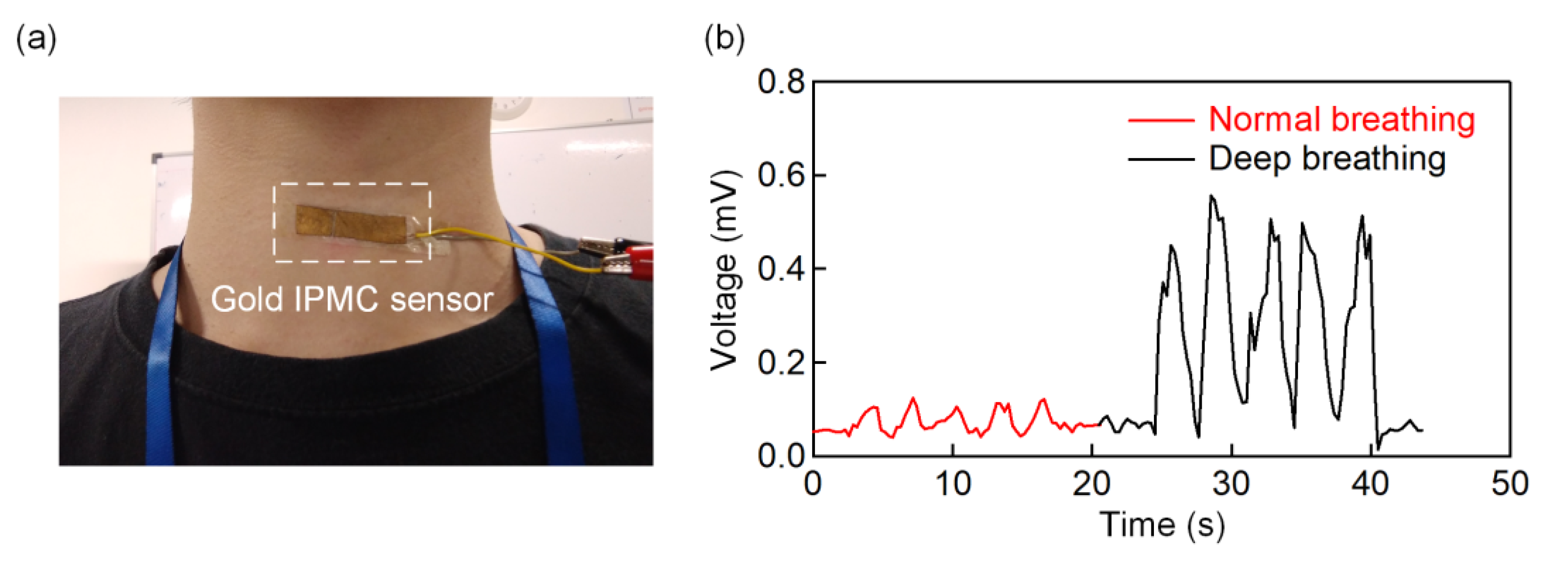 Polymers 13 03041 g004 550