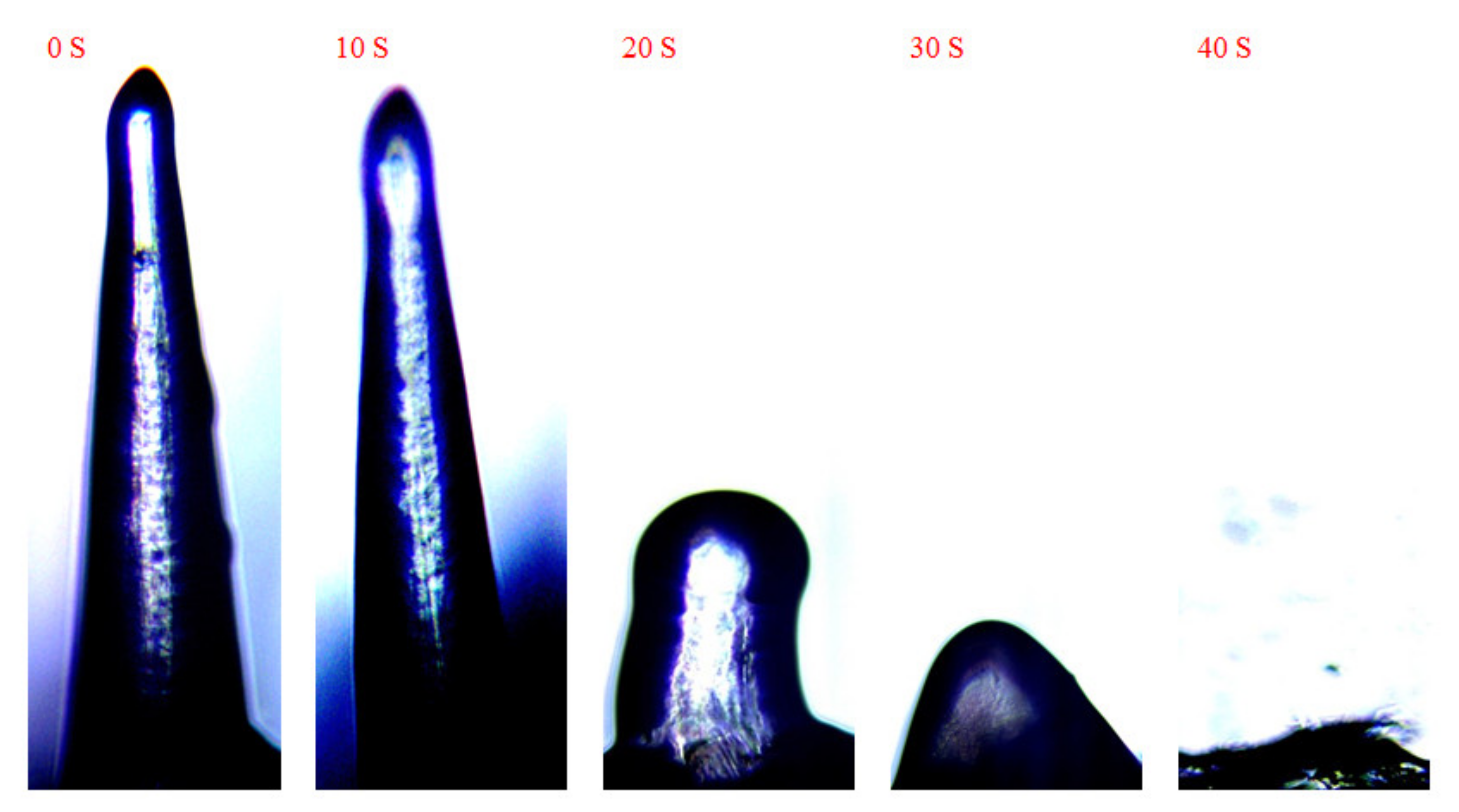Polymers 13 03043 g006