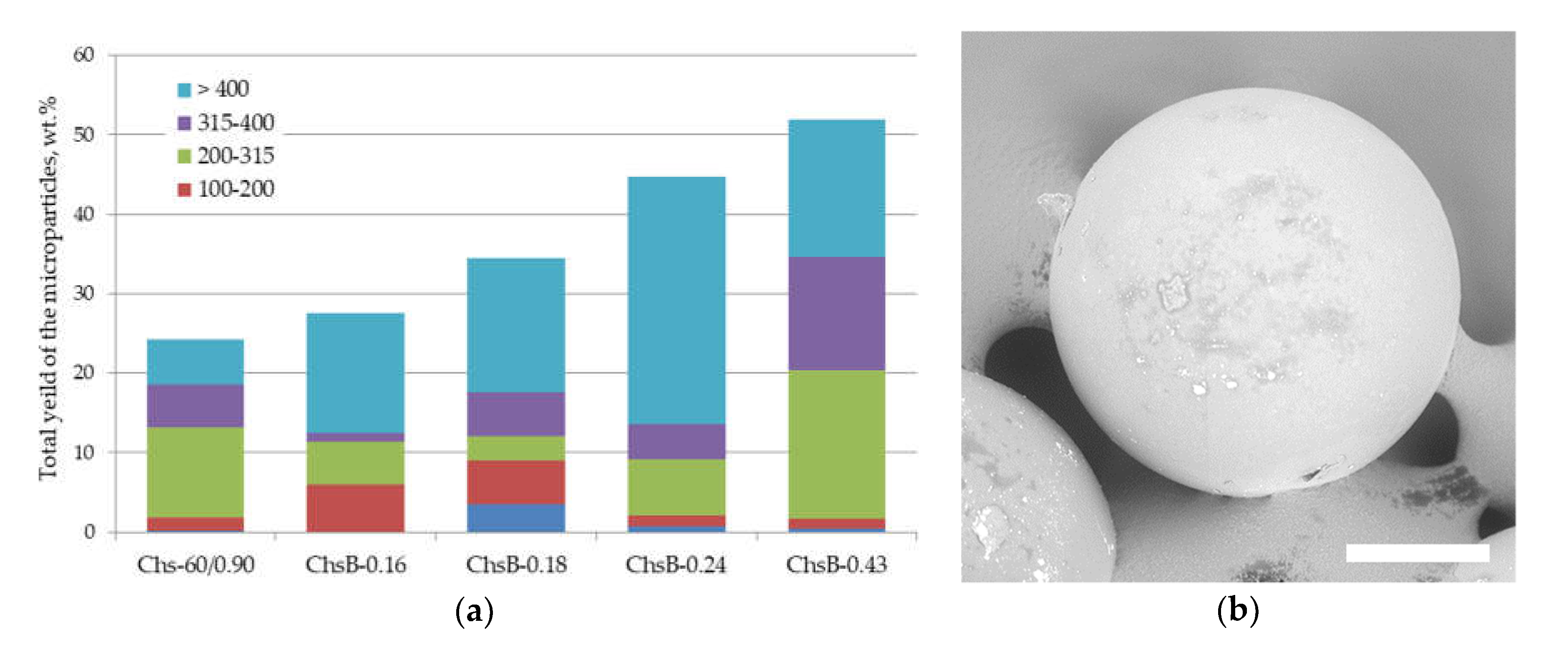 Polymers 13 03045 g002