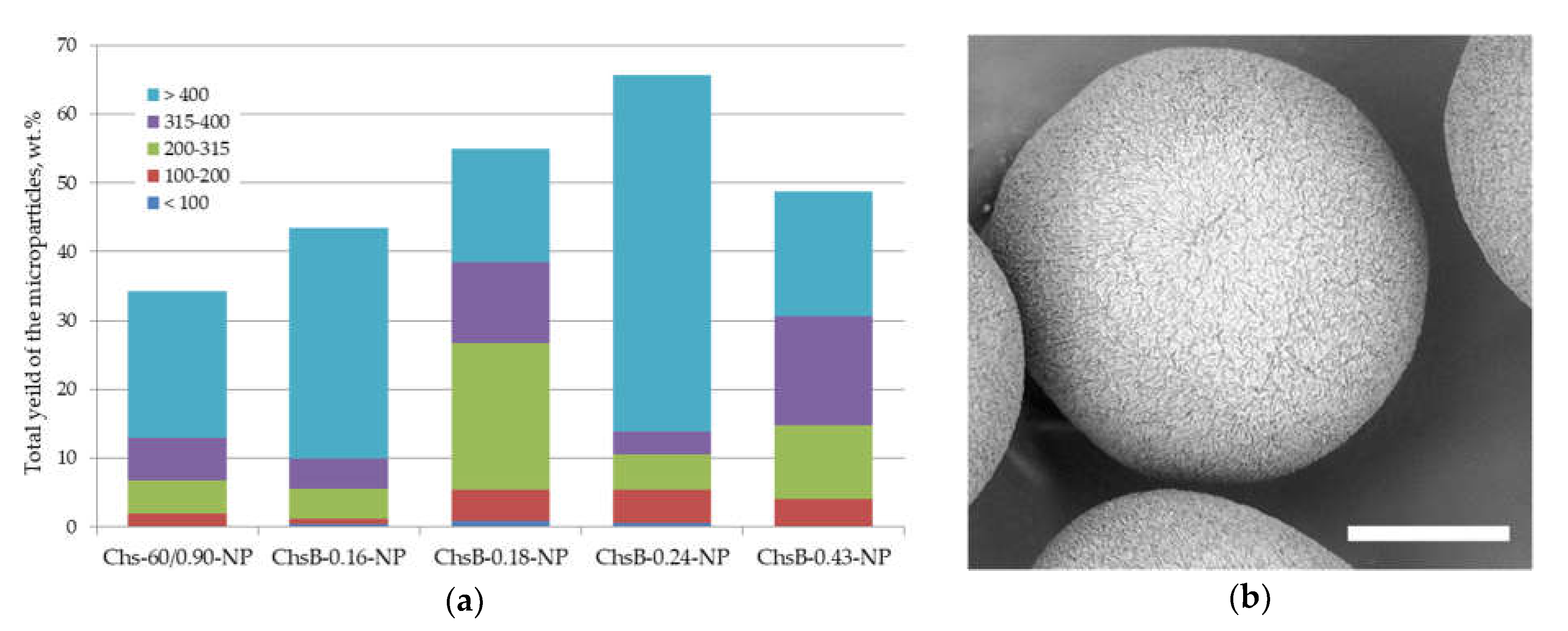 Polymers 13 03045 g004