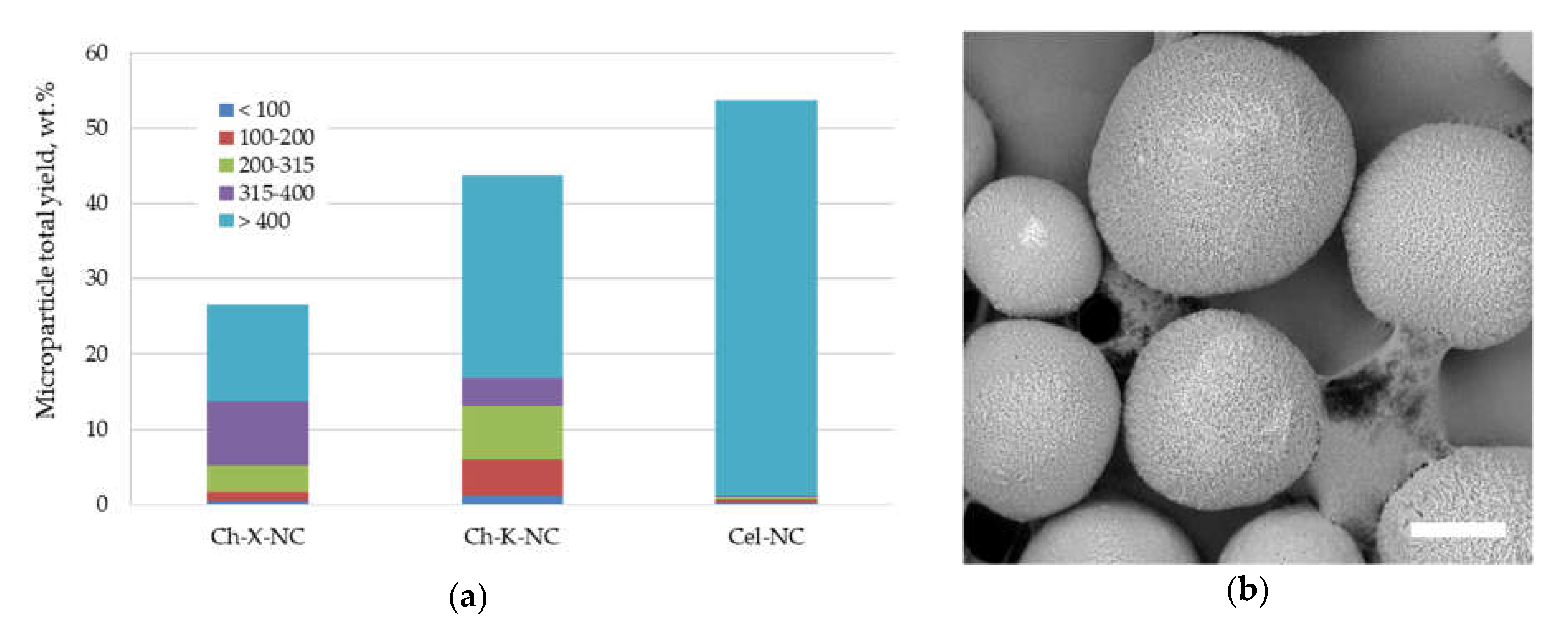 Polymers 13 03045 g005