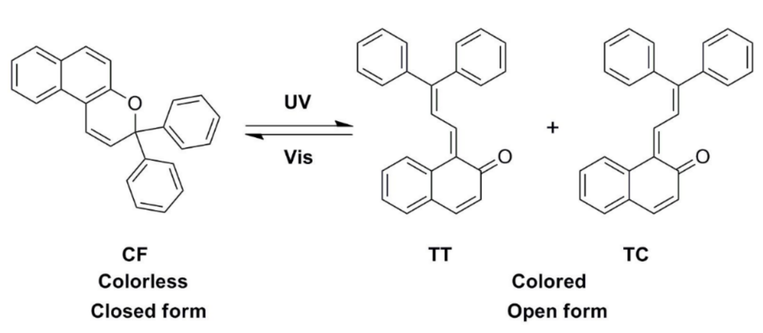 Polymers 13 03049 g009 550