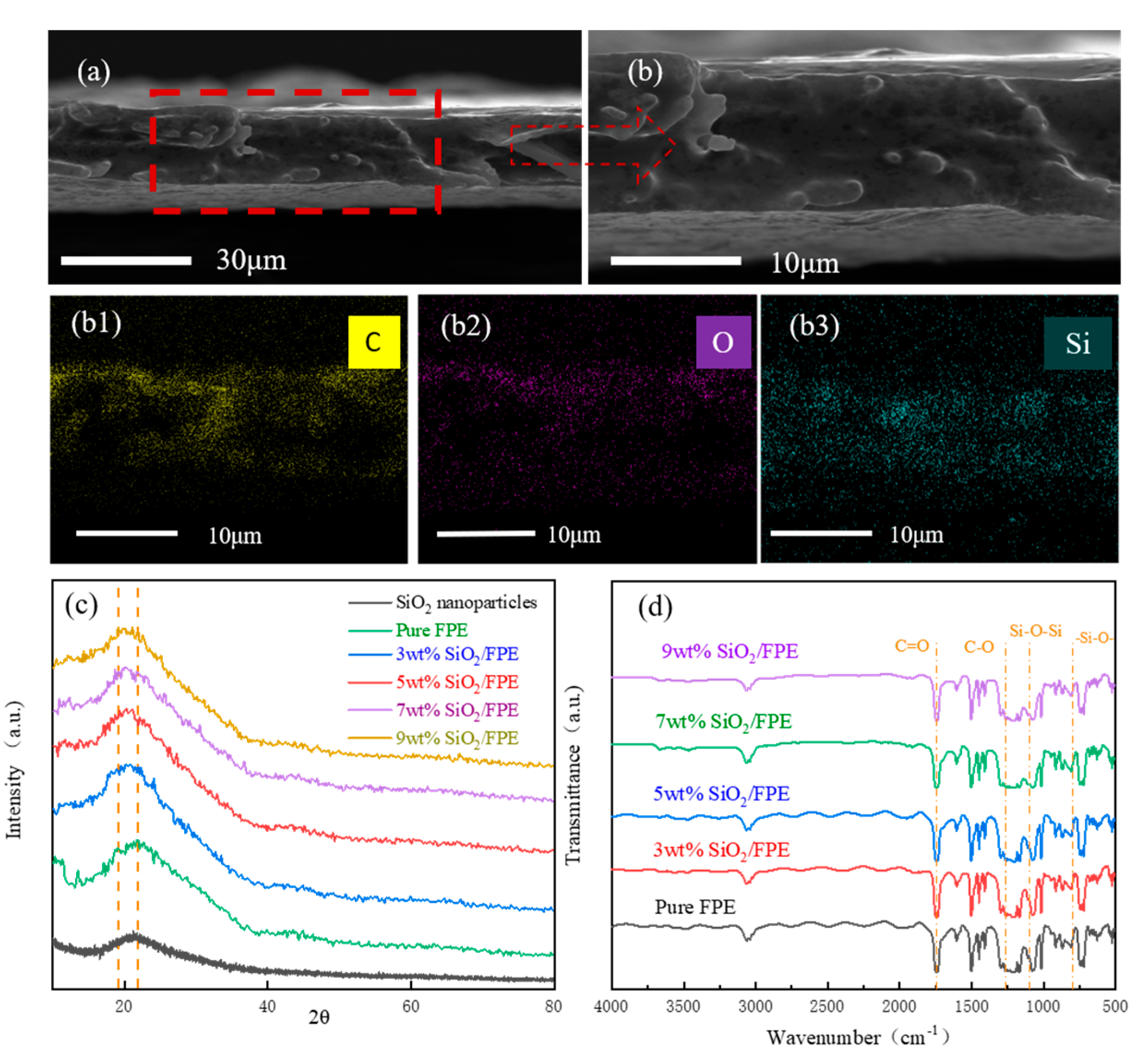 Polymers 13 03053 g002 550