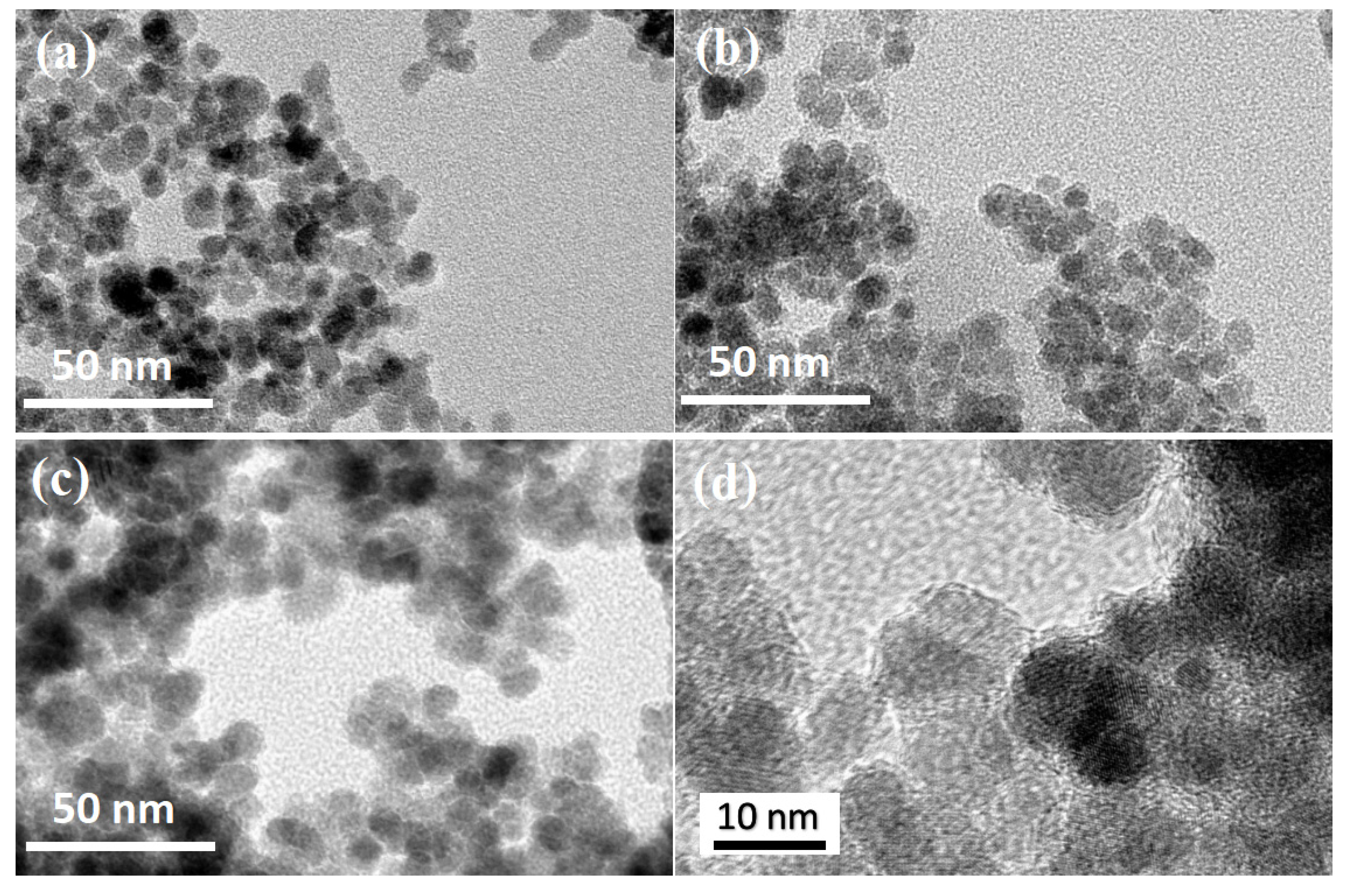 Polymers 13 03054 g001