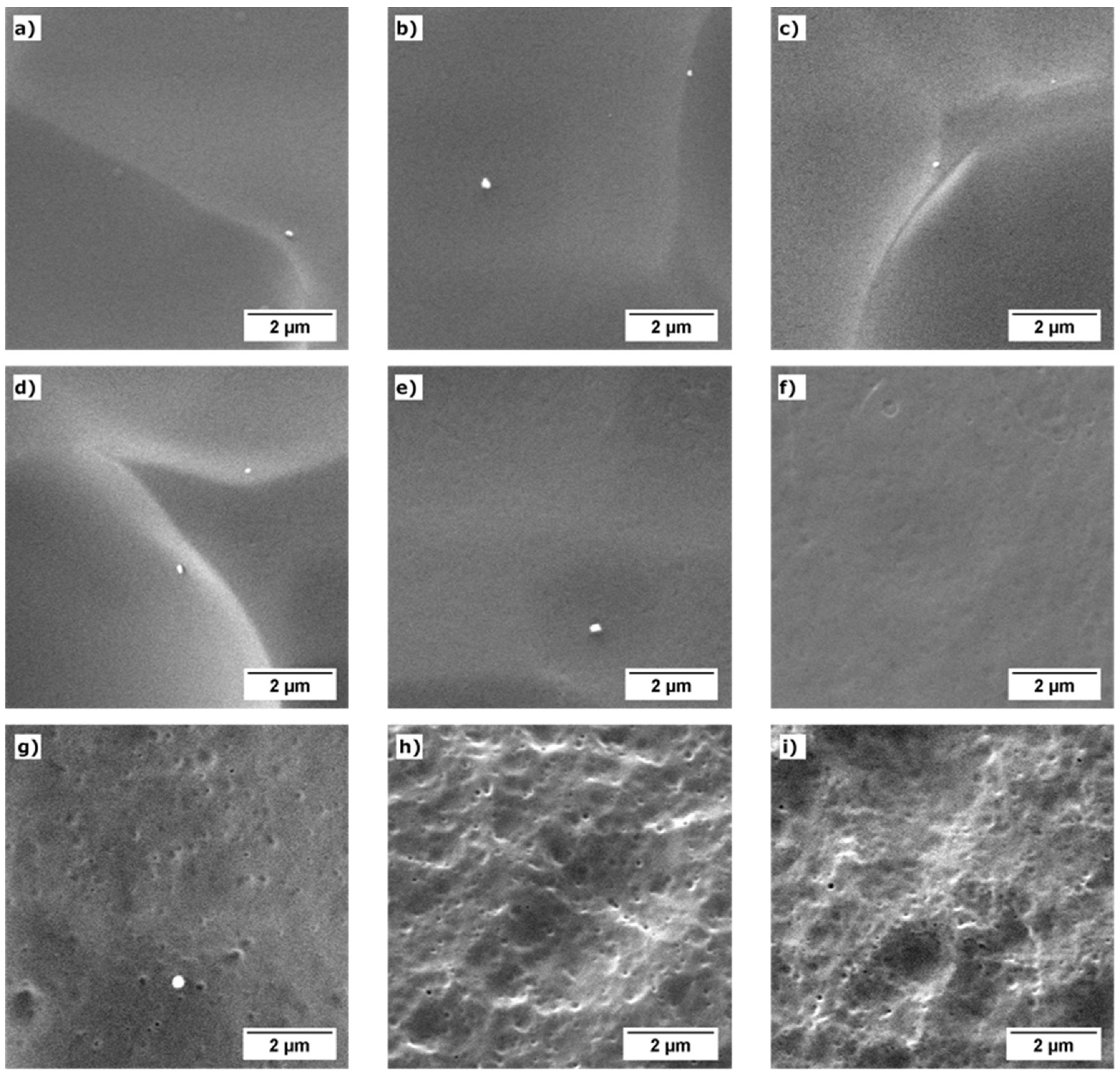 Polymers 13 03055 g003