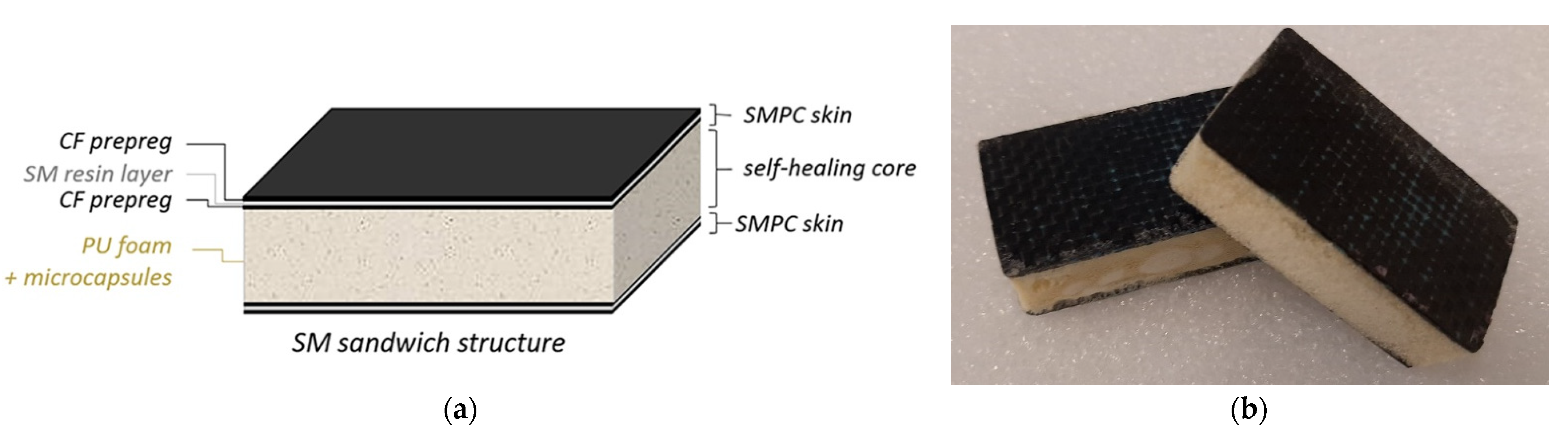 Polymers 13 03056 g003