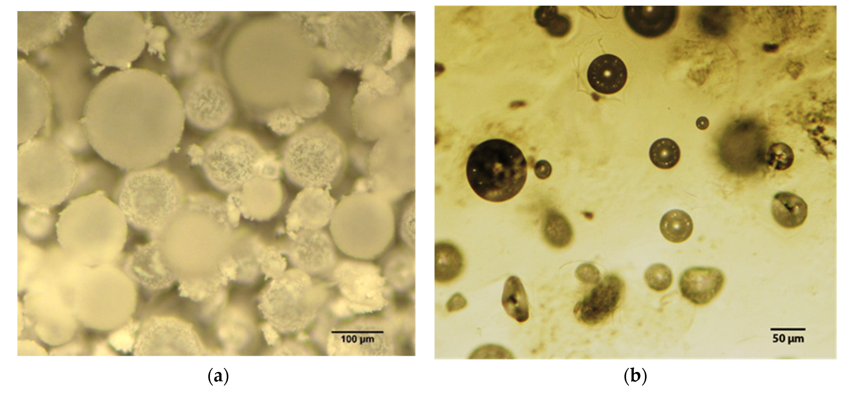 Polymers 13 03056 g004