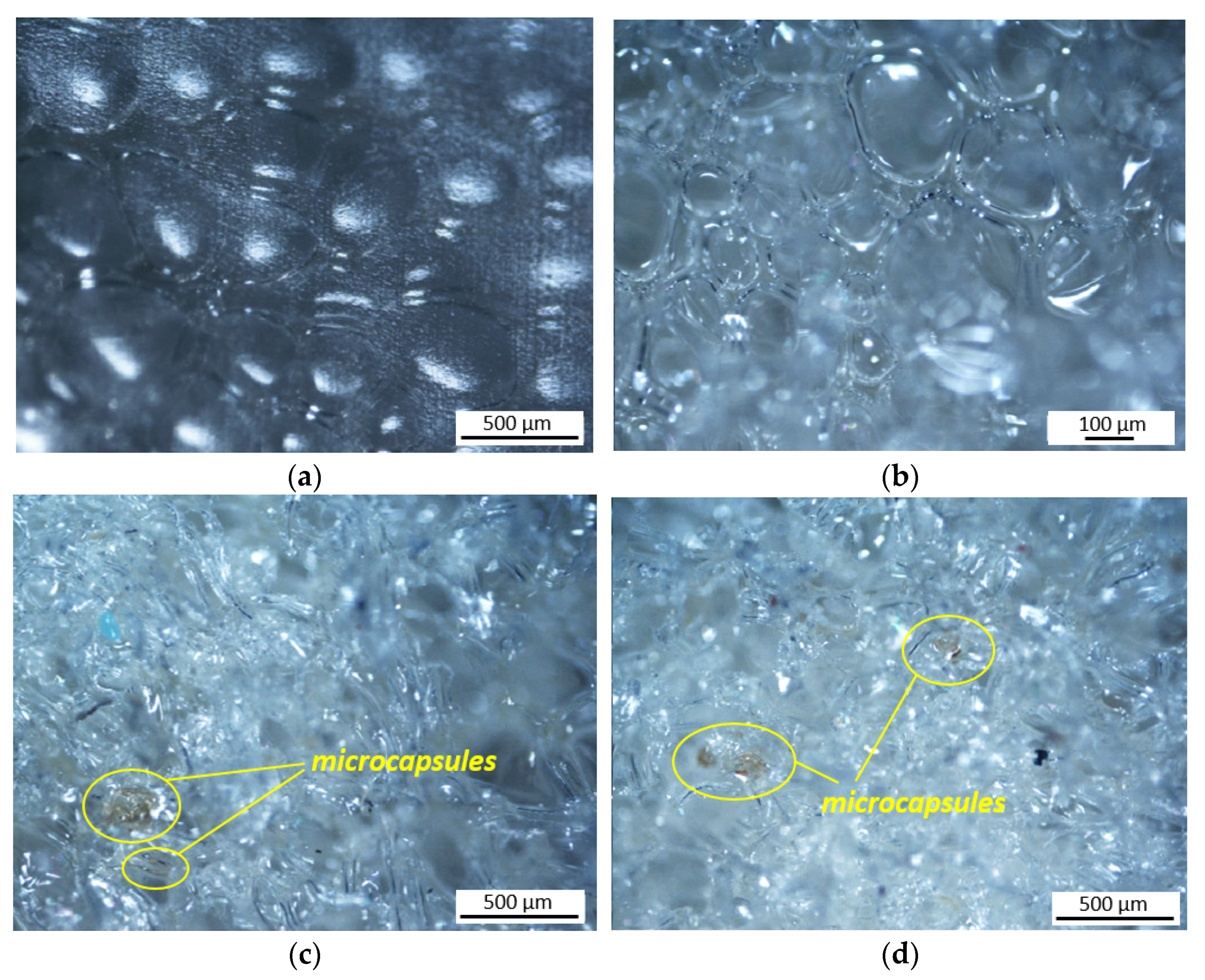 Polymers 13 03056 g006
